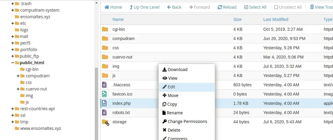 Ejemplo del menĂş para editar un archivo dentro de cPanel