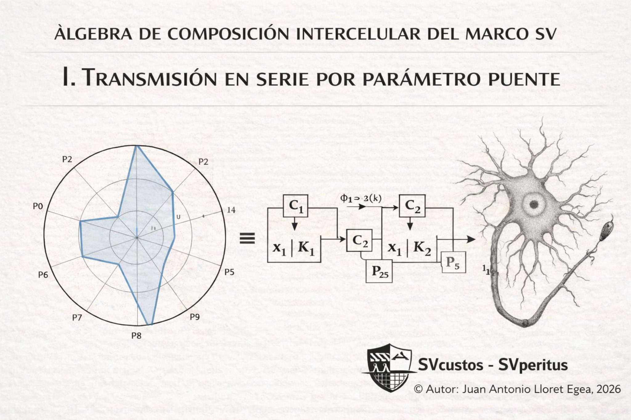 Figura 14. Composición intercelular y parámetro puente