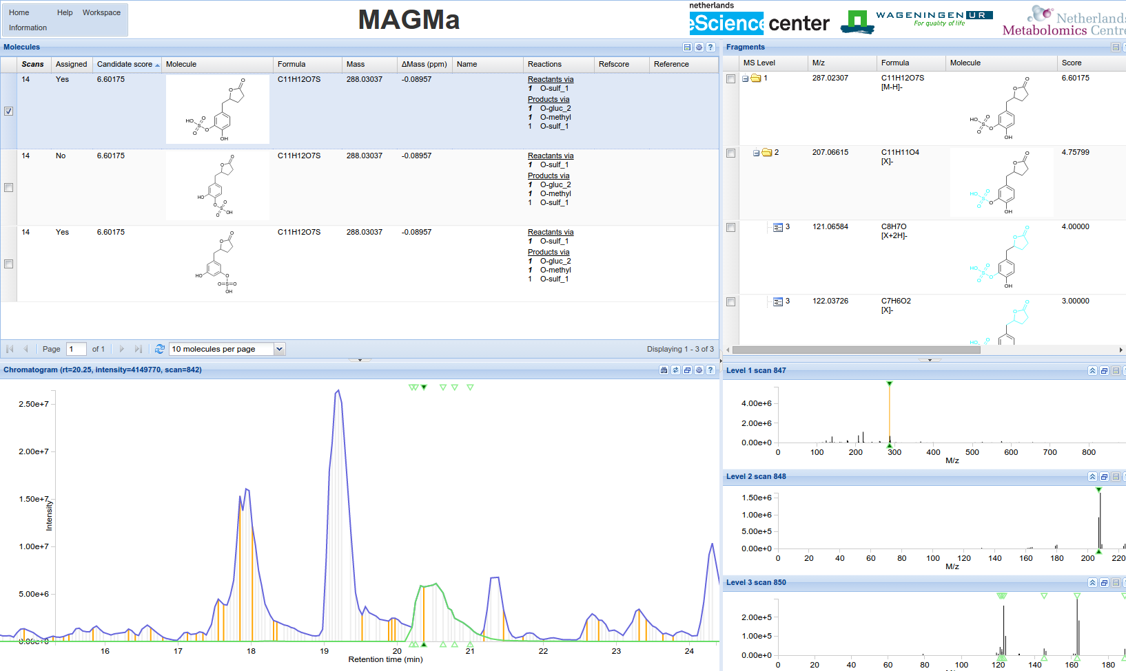 Screenshot MAGMa results page
