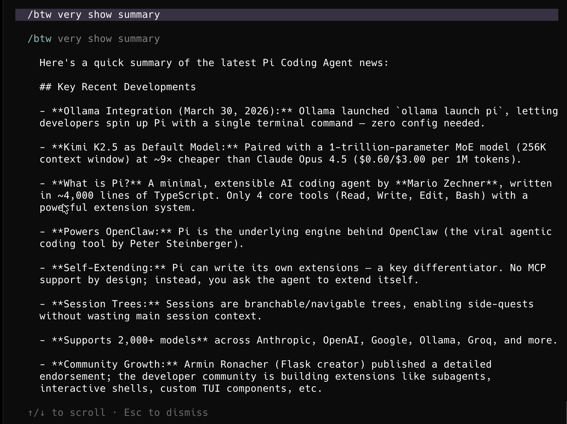 The /btw side-question panel at the bottom of the Pi terminal