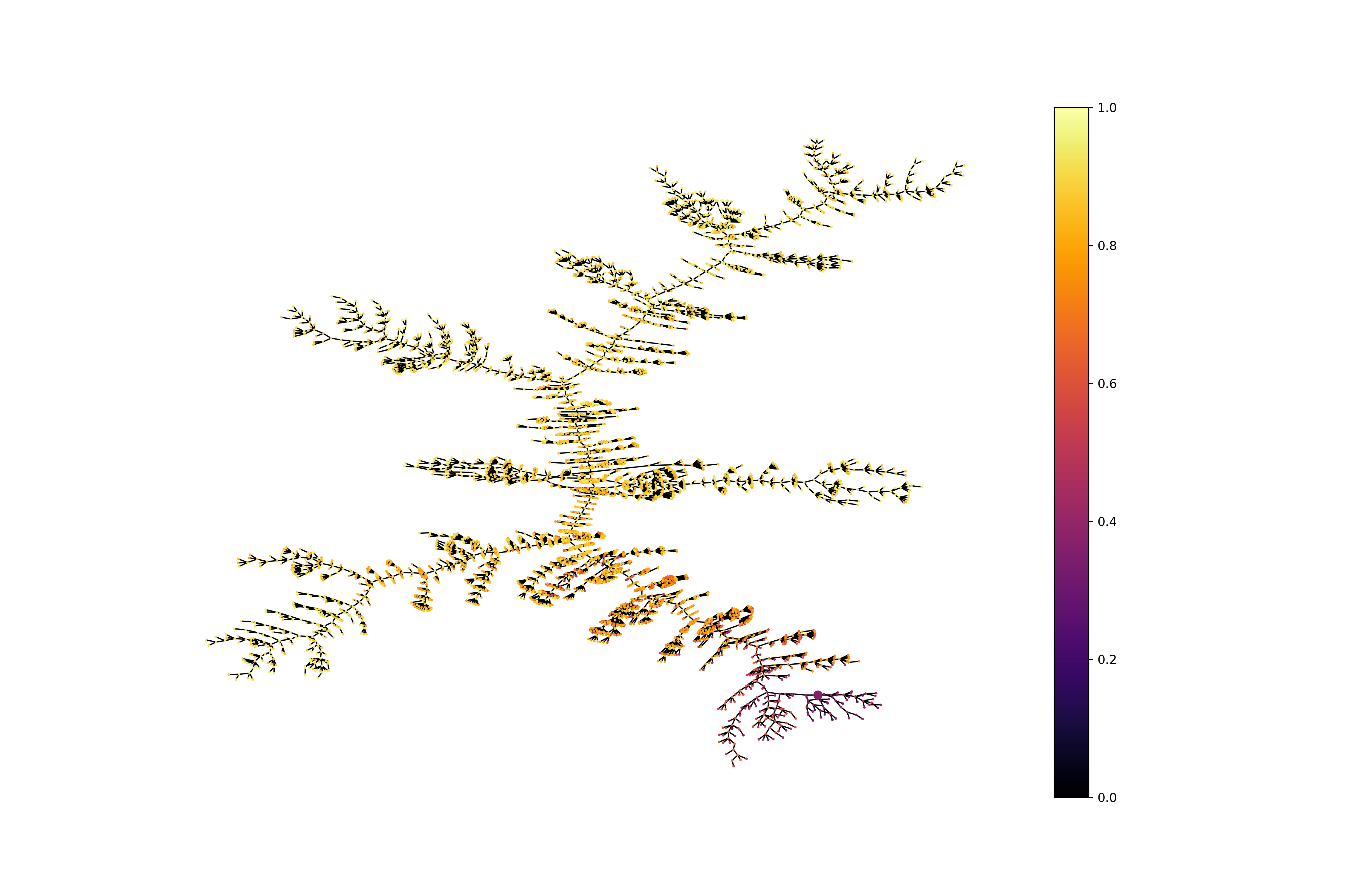 Detailed exploration tree