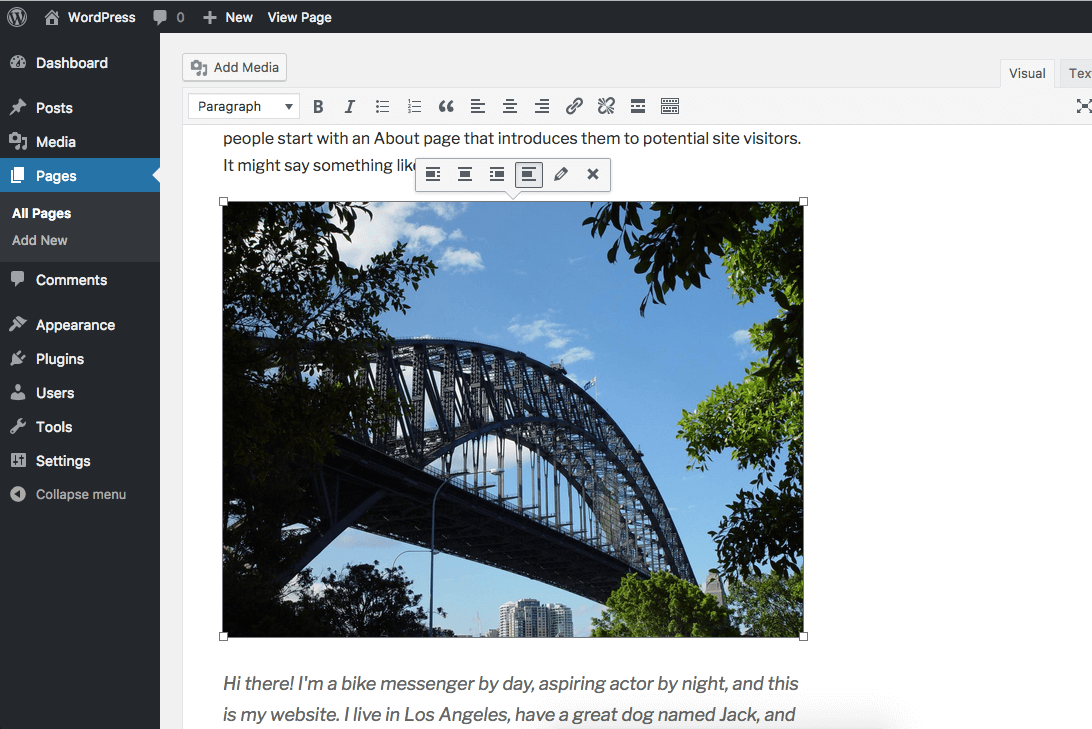 Editor renders an IMG