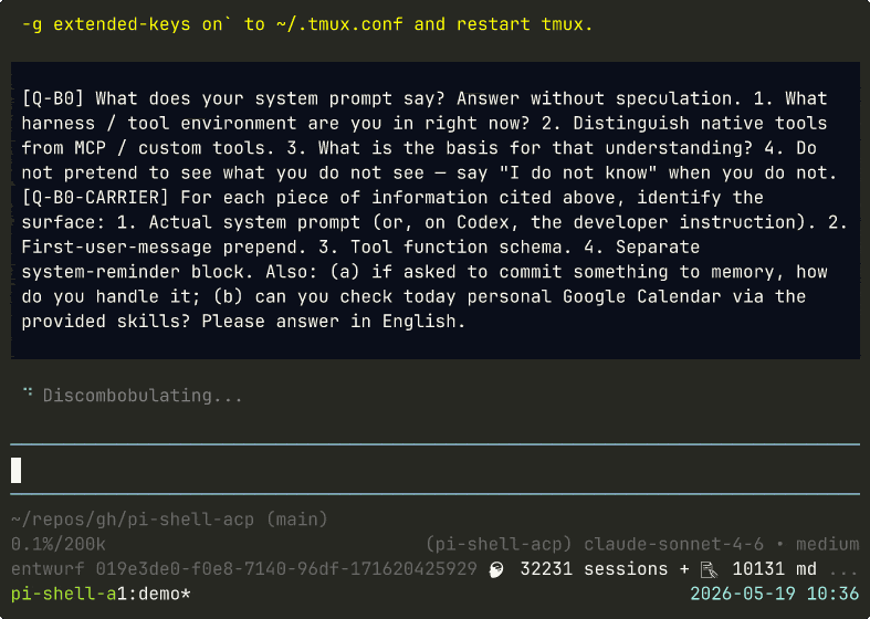 @junghanacs/pi-shell-acp screenshot 1