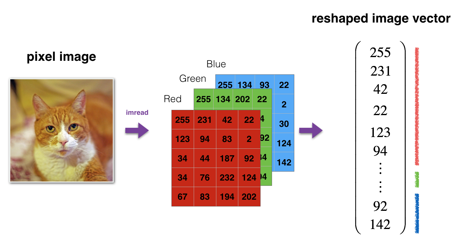 Image to vector conversion of input