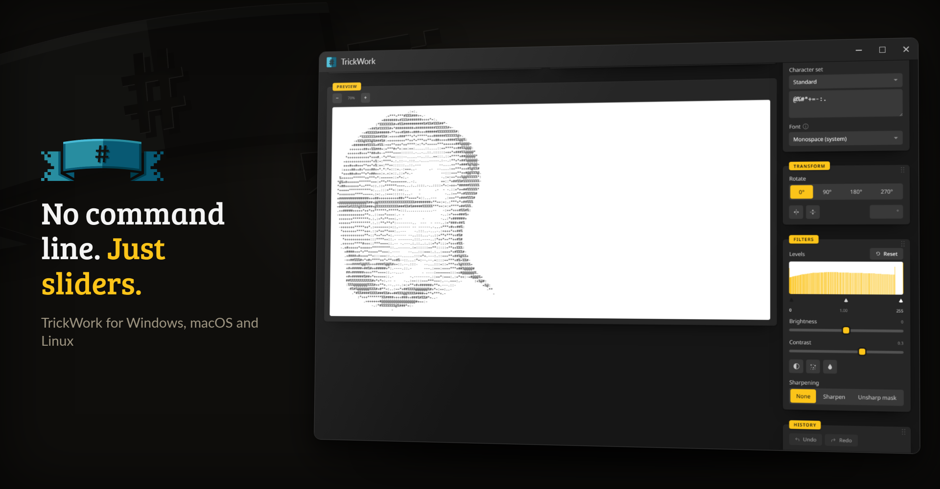 The TrickWork desktop app showing the knight's helmet as ASCII art beside the Transform and Filters cards