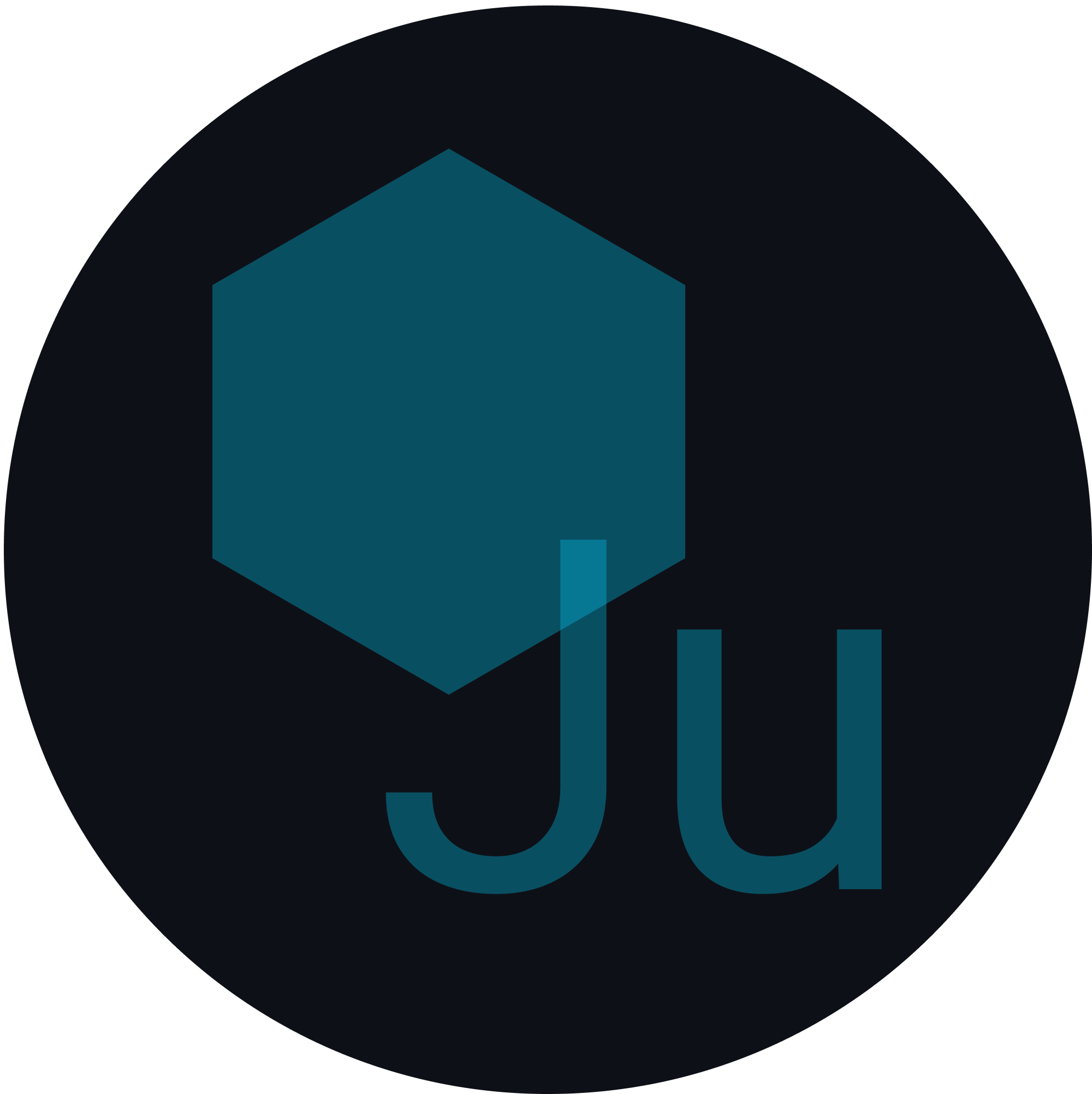 Junon logo