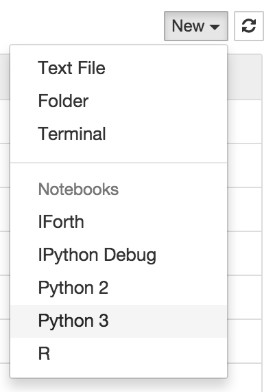 Jupyter \"New\" menu