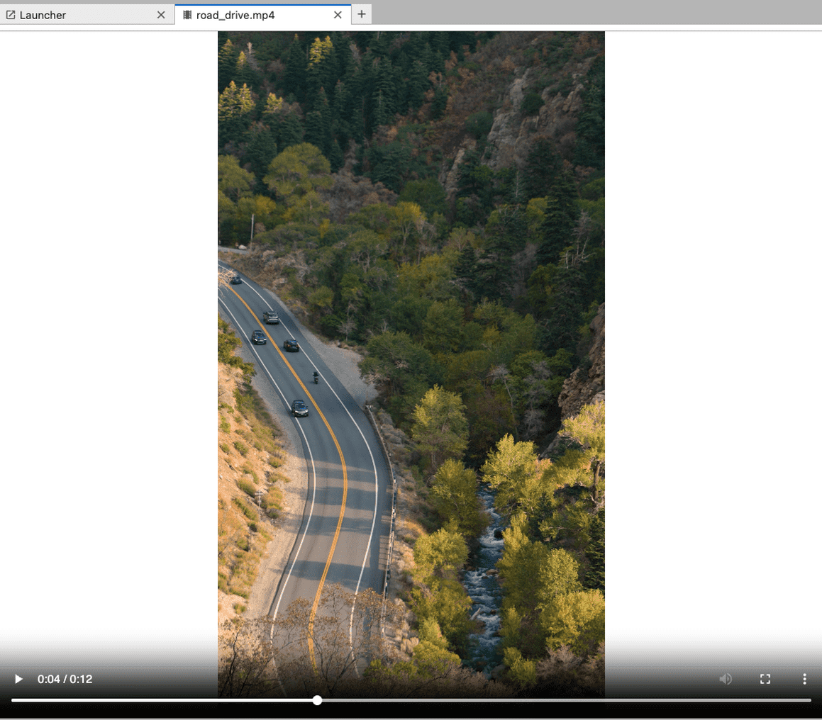 Video file opened in a JupyterLab tab