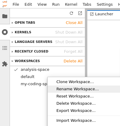 A context menu opened over the sidebar with workspaces list. The menu has options to manage the workspace over which it was opened - clone, rename, reset, delete, export, and import.