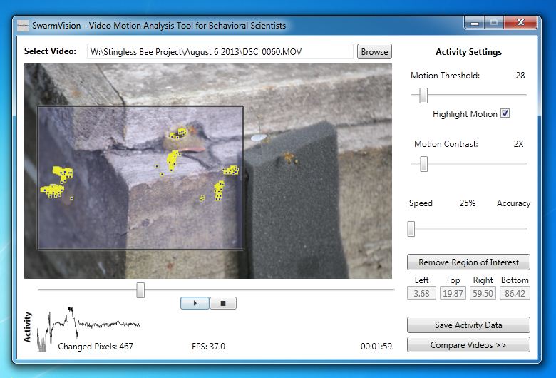 SwarmSight Motion Analysis Screenshot