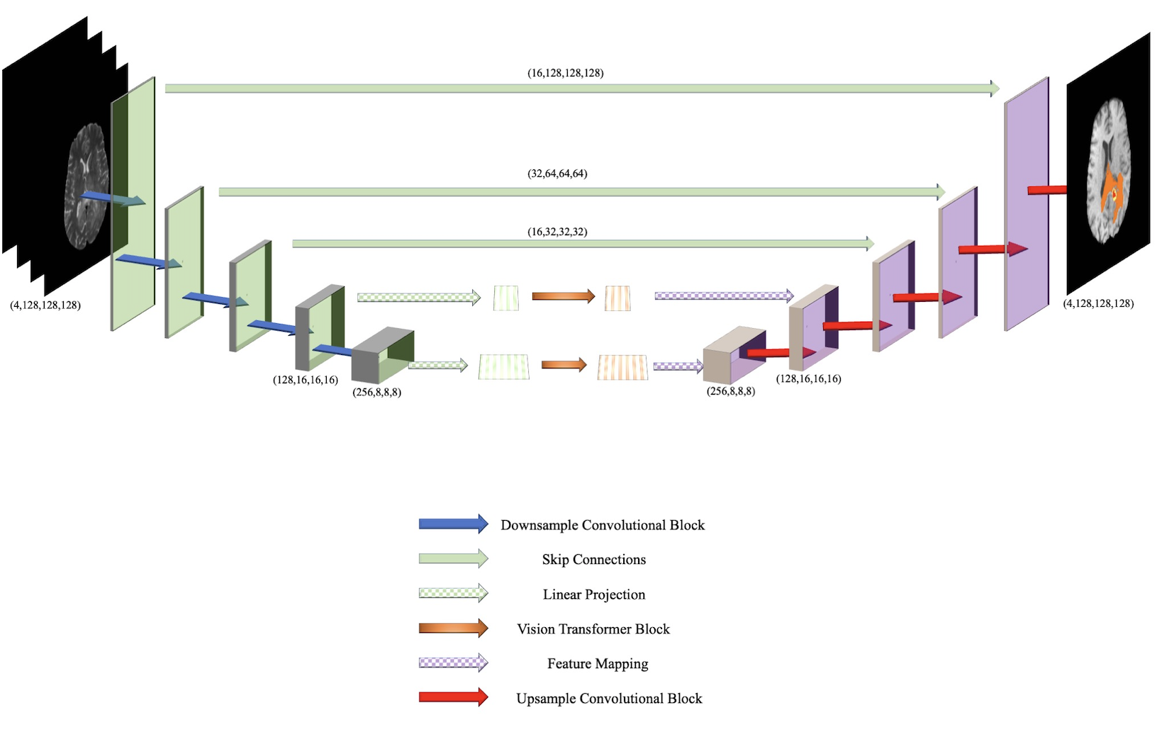 Bitr Unet A Cnn Transformer Combined Network For Mri Brain Tumor Segmentation Papers With Code