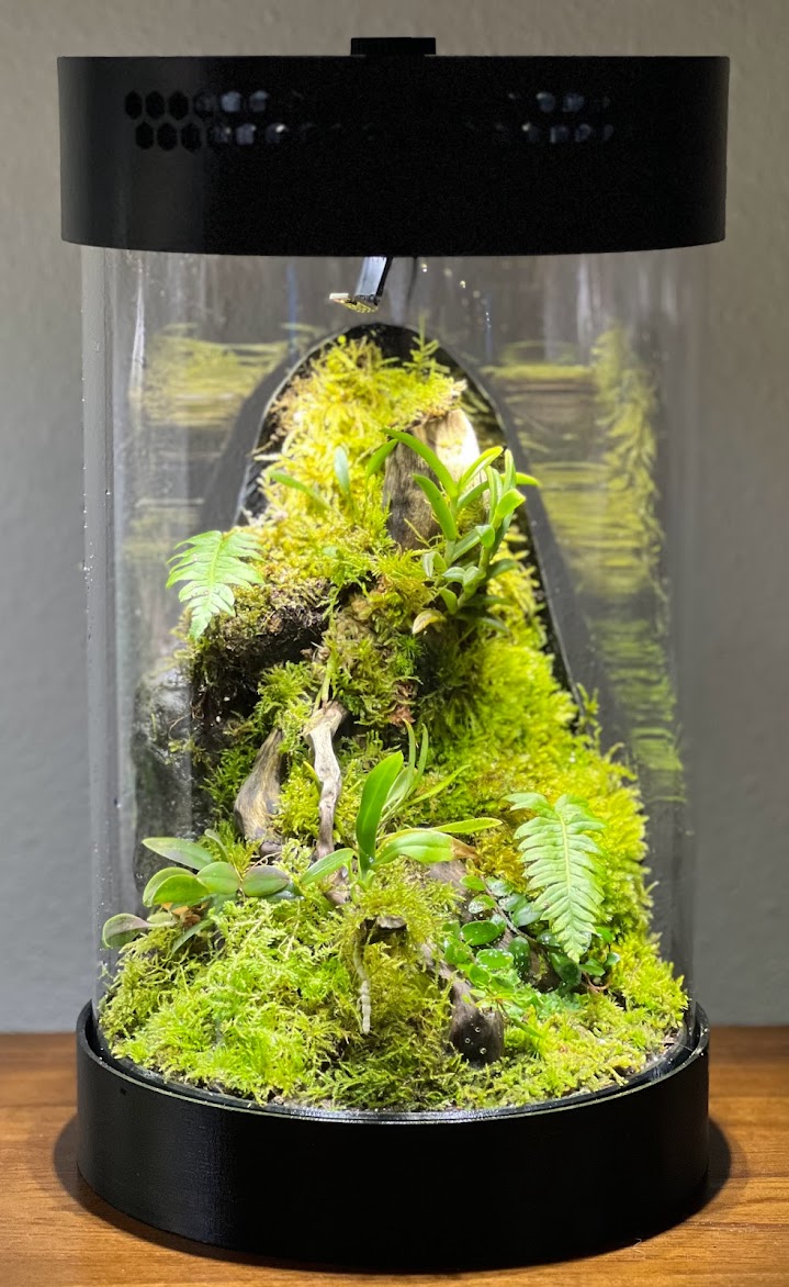 terrarium pic