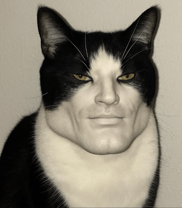 sigmacat_meme.png