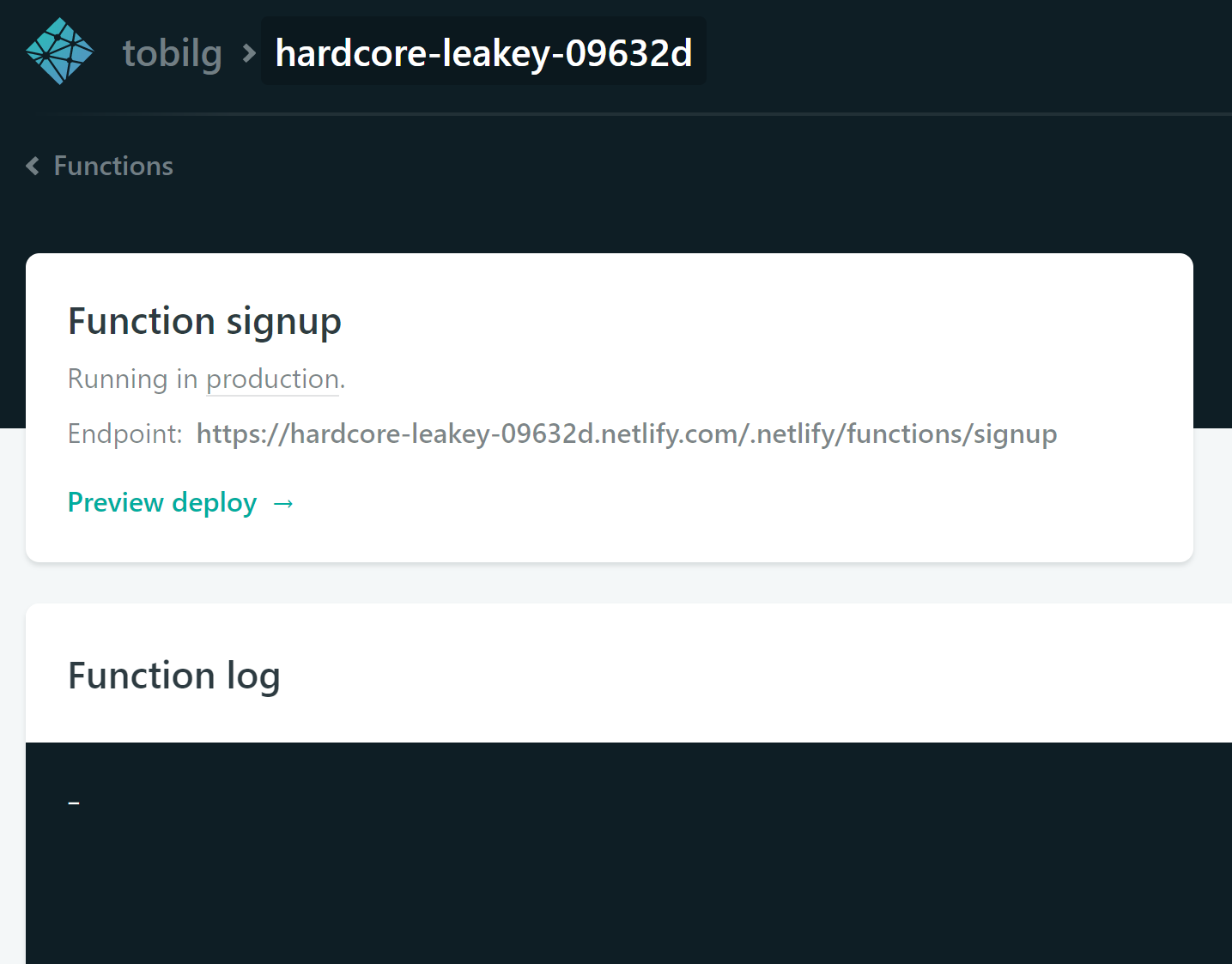 Netlify function logs