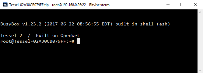 bitvise terminal window