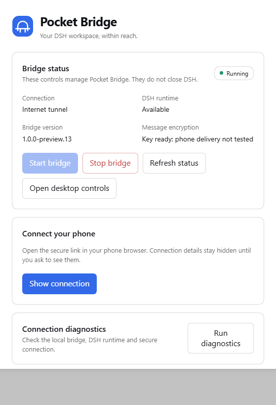 The actual Pocket Bridge settings panel in an isolated npm DSH host, with private connection details hidden