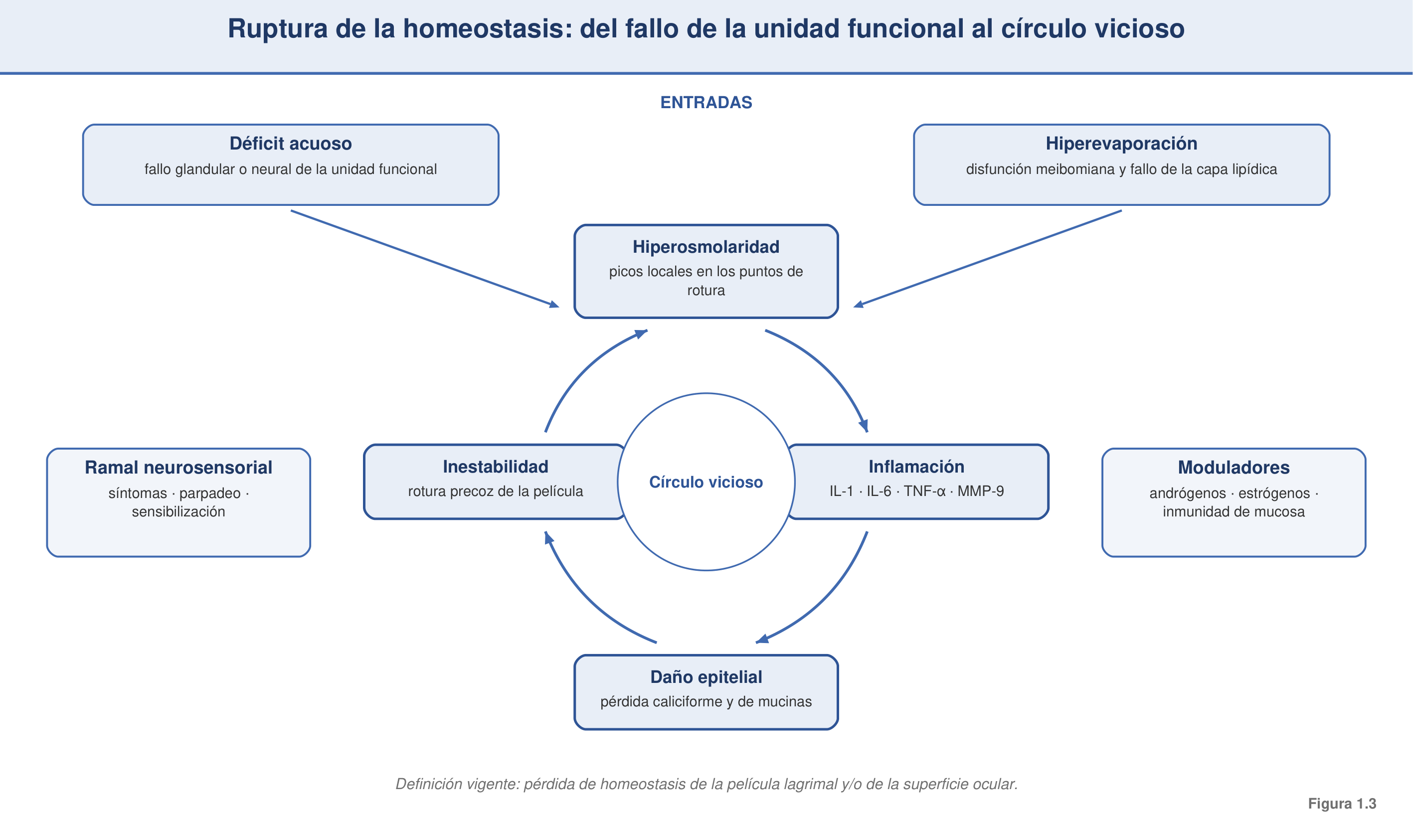 Figura 1.3 — Ruptura de la homeostasis: del fallo de la UFL al círculo vicioso