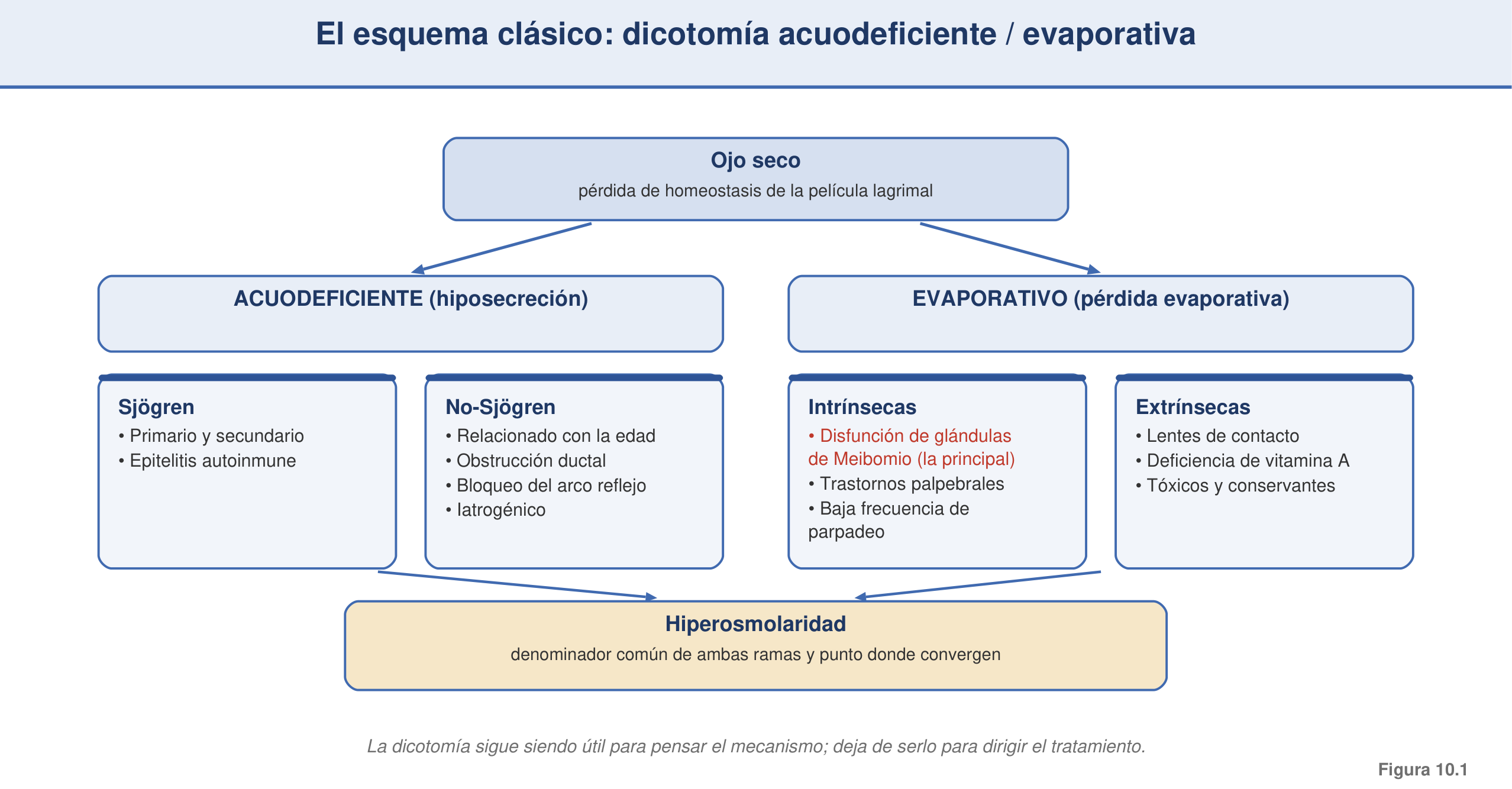 Figura 10.1 — Esquema clásico DEWS I/II: dicotomía ADDE/EDE con subtipos