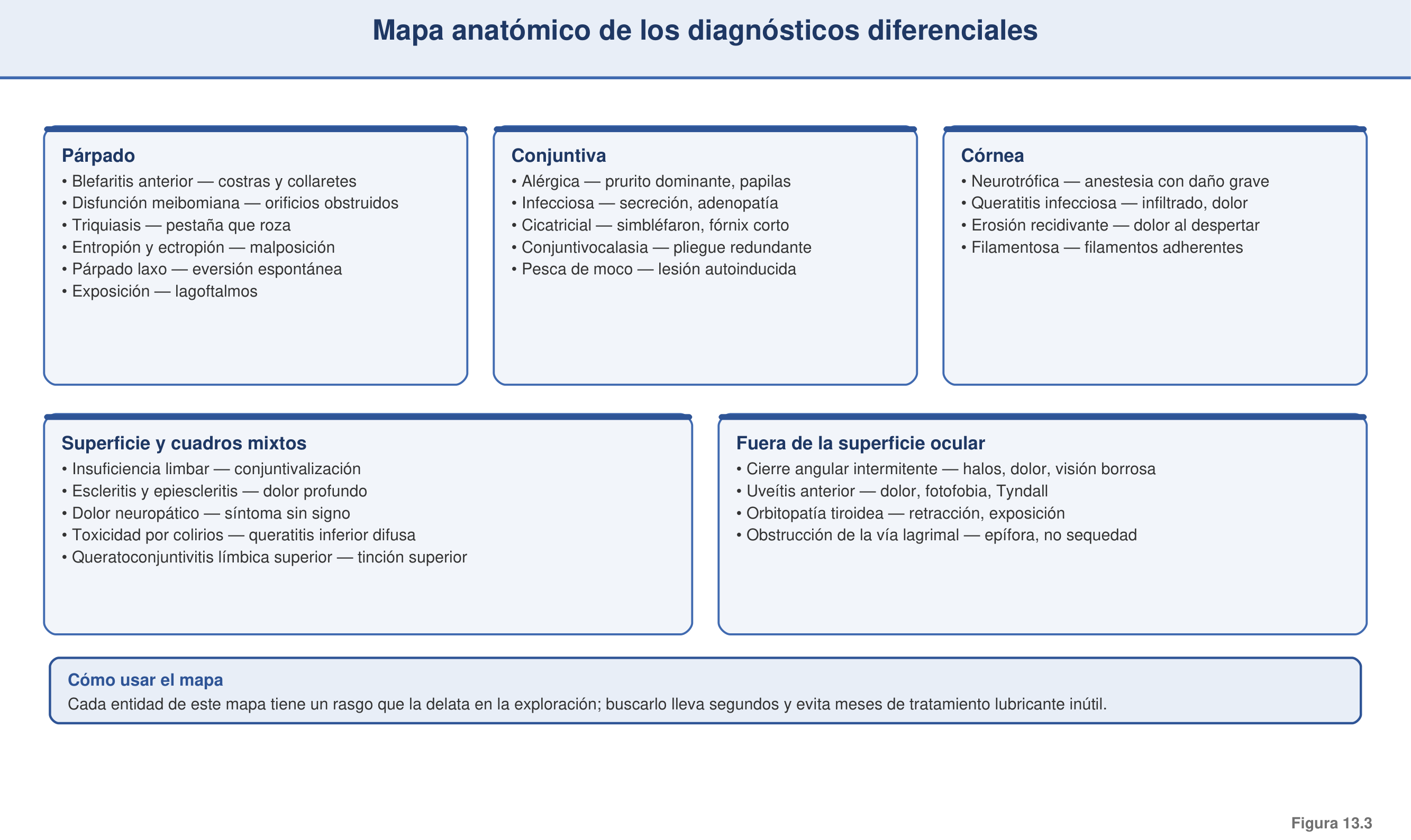 Figura 13.3 — Mapa anatómico de diferenciales del ojo seco