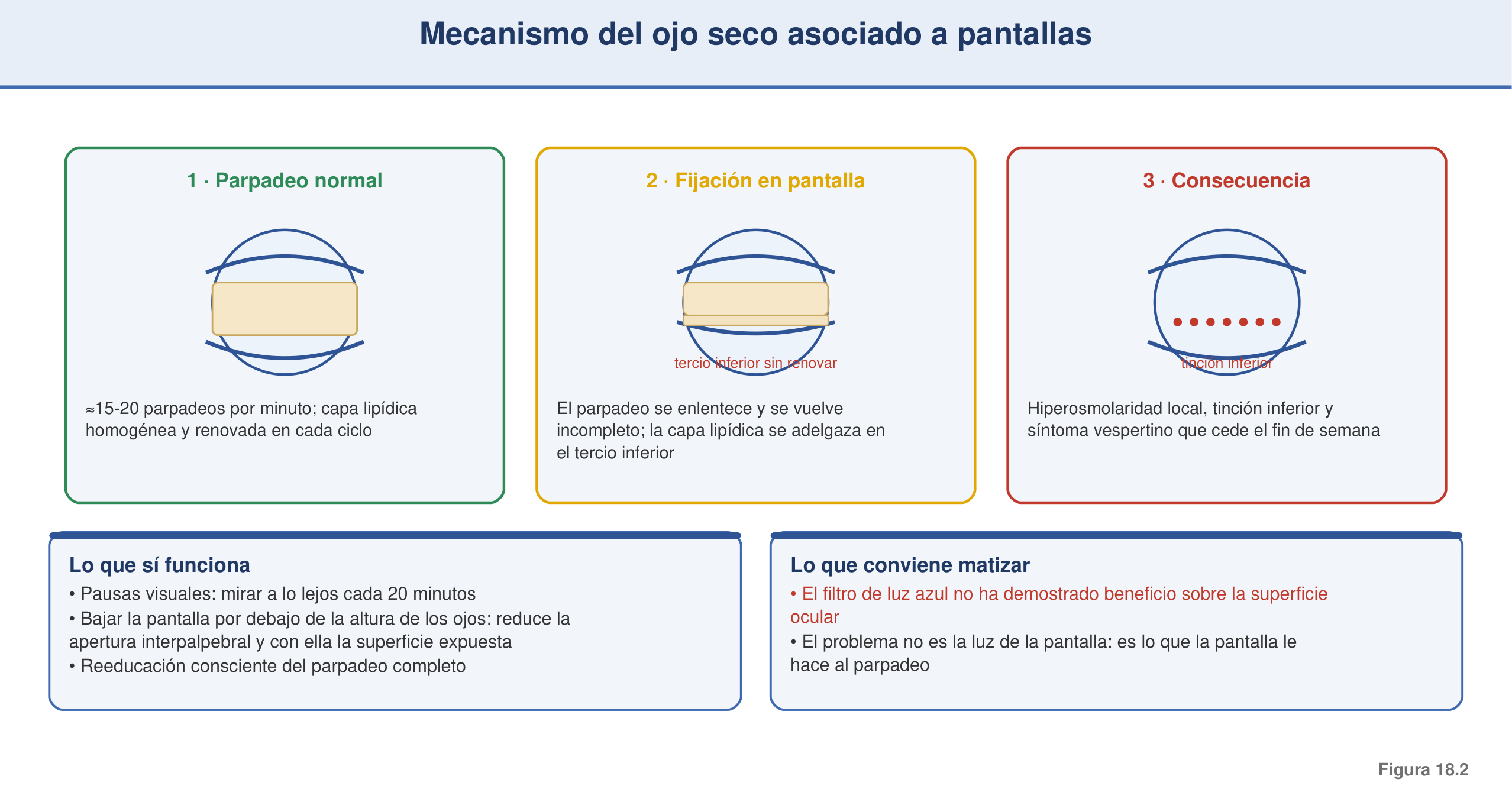 Figura 18.2 — Mecanismo del ojo seco por pantallas