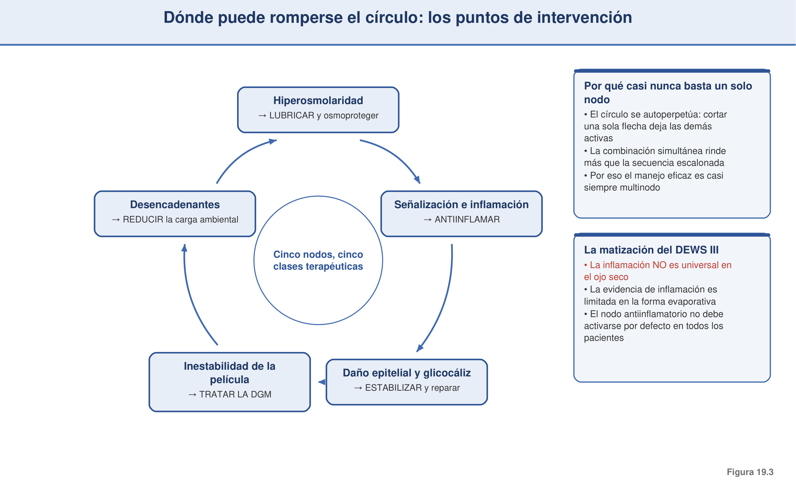 Figura 19.3 — Puntos de ruptura terapéuticos del círculo