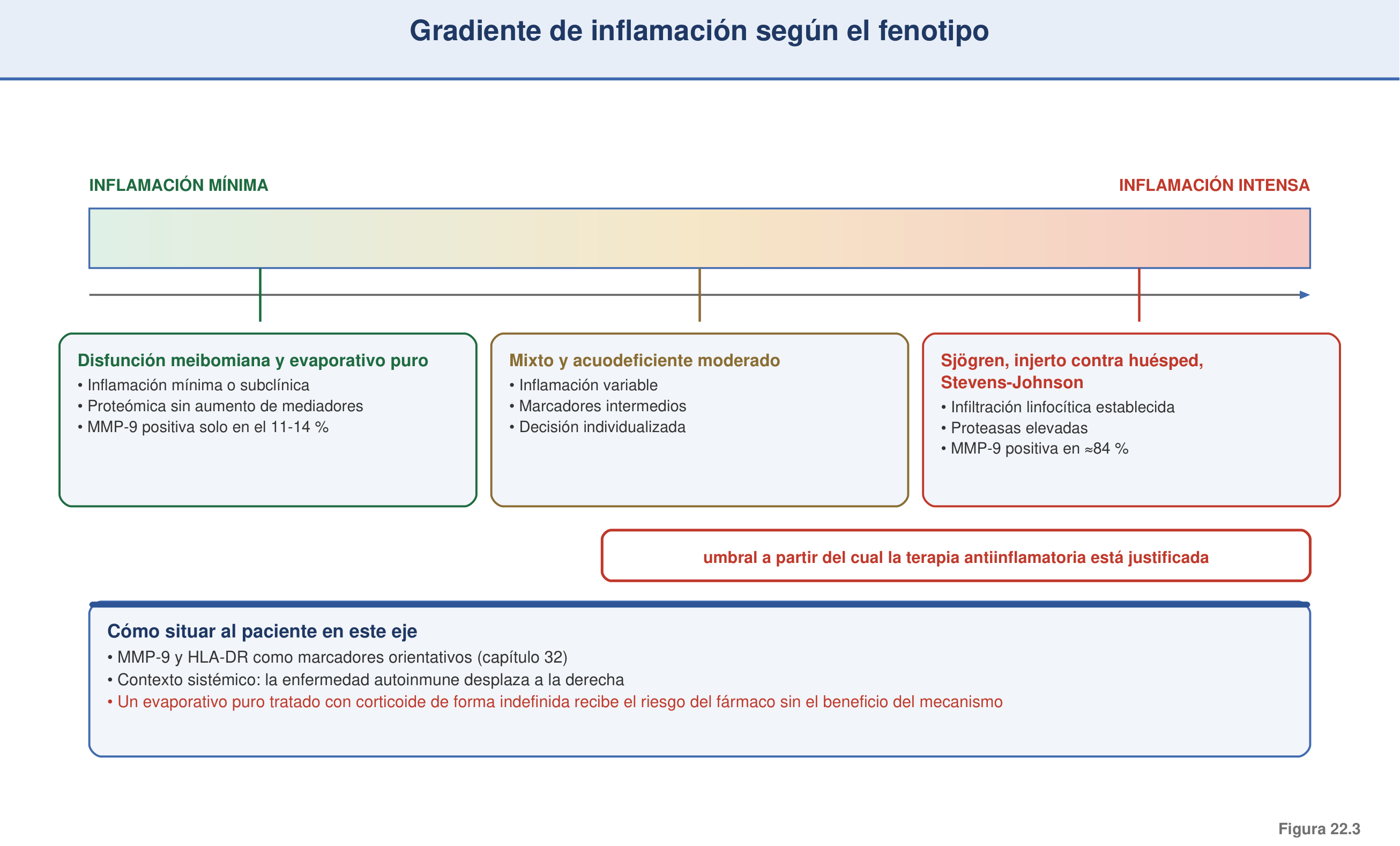 Figura 22.3 — Gradiente de inflamación por fenotipo (matiz DEWS III)