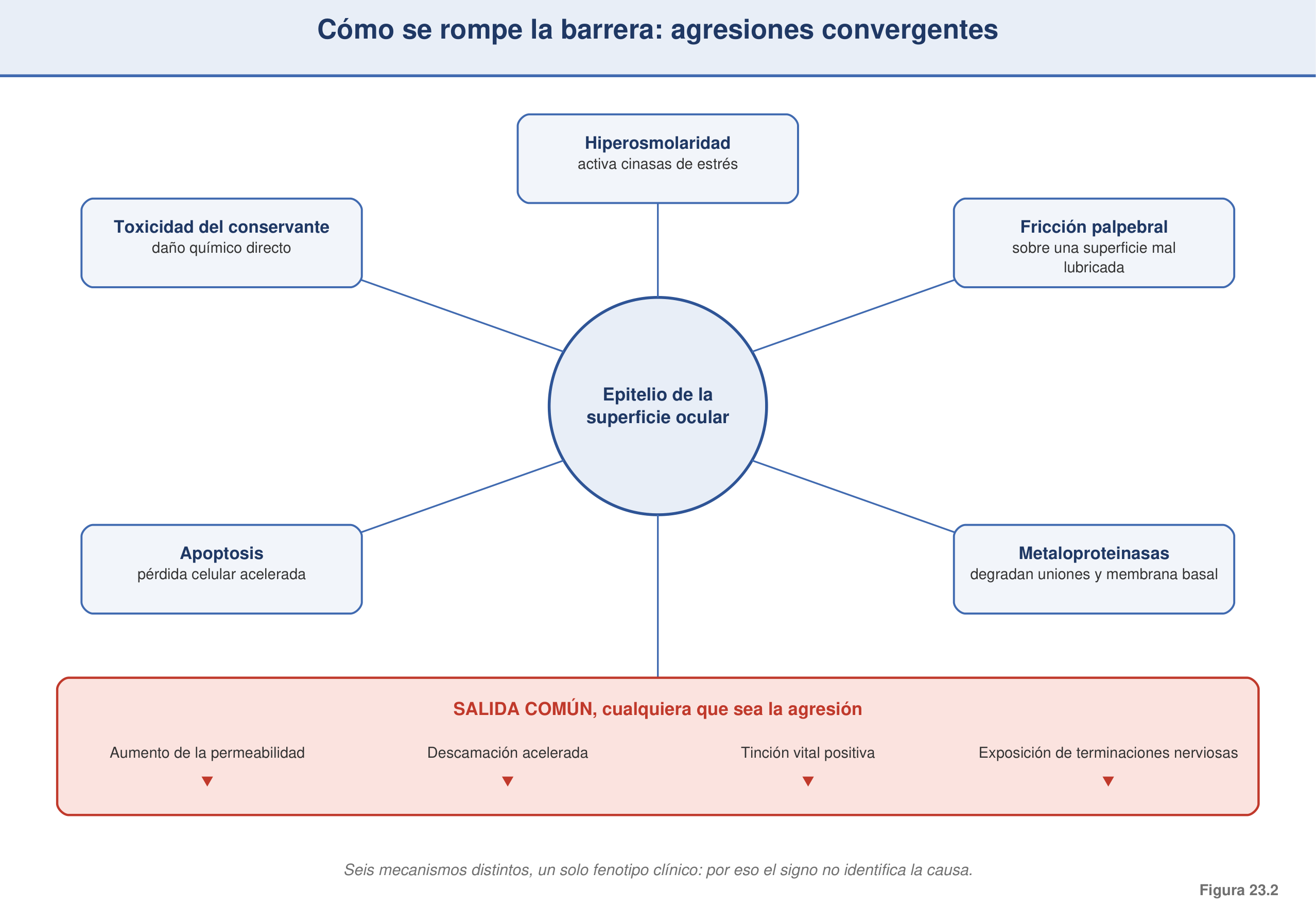 Figura 23.2 — Cómo se rompe la barrera: mecanismos convergentes