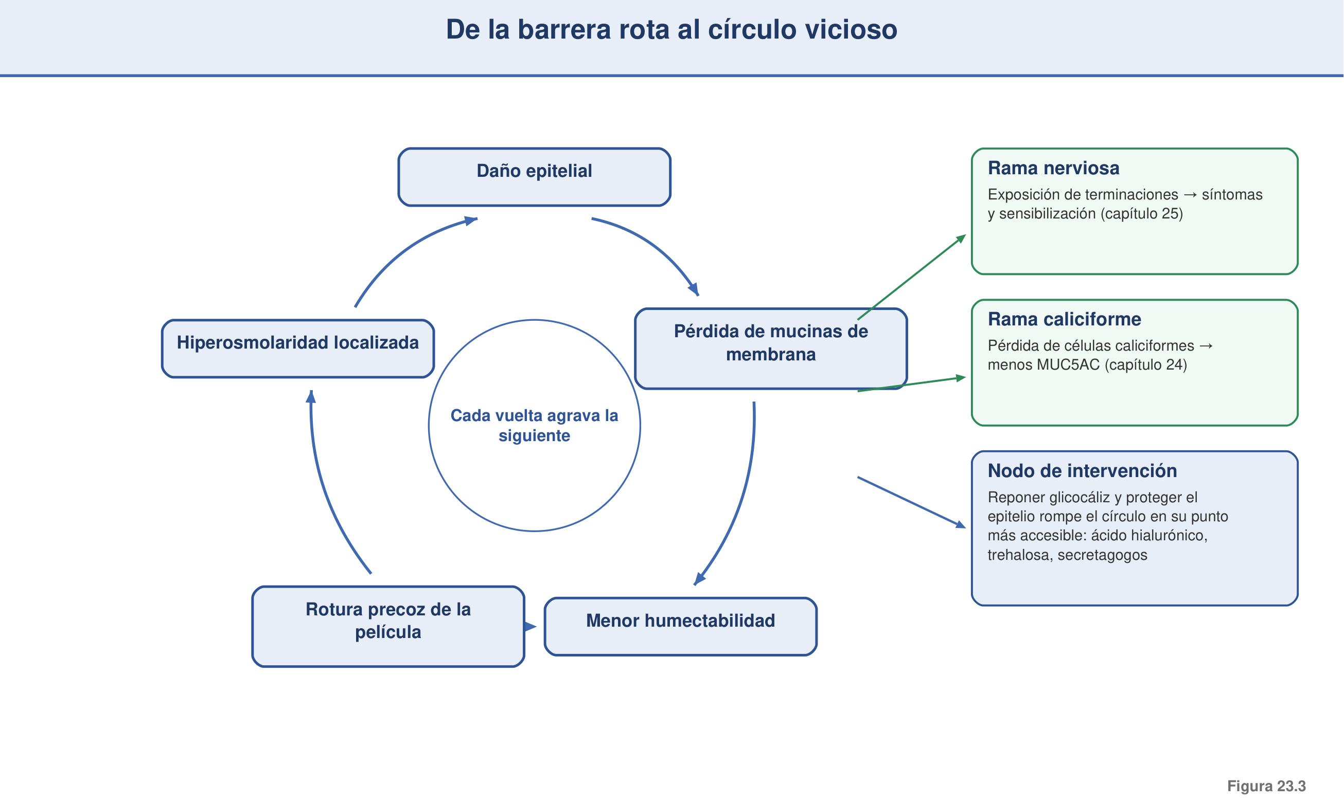 Figura 23.3 — De la barrera rota al círculo vicioso