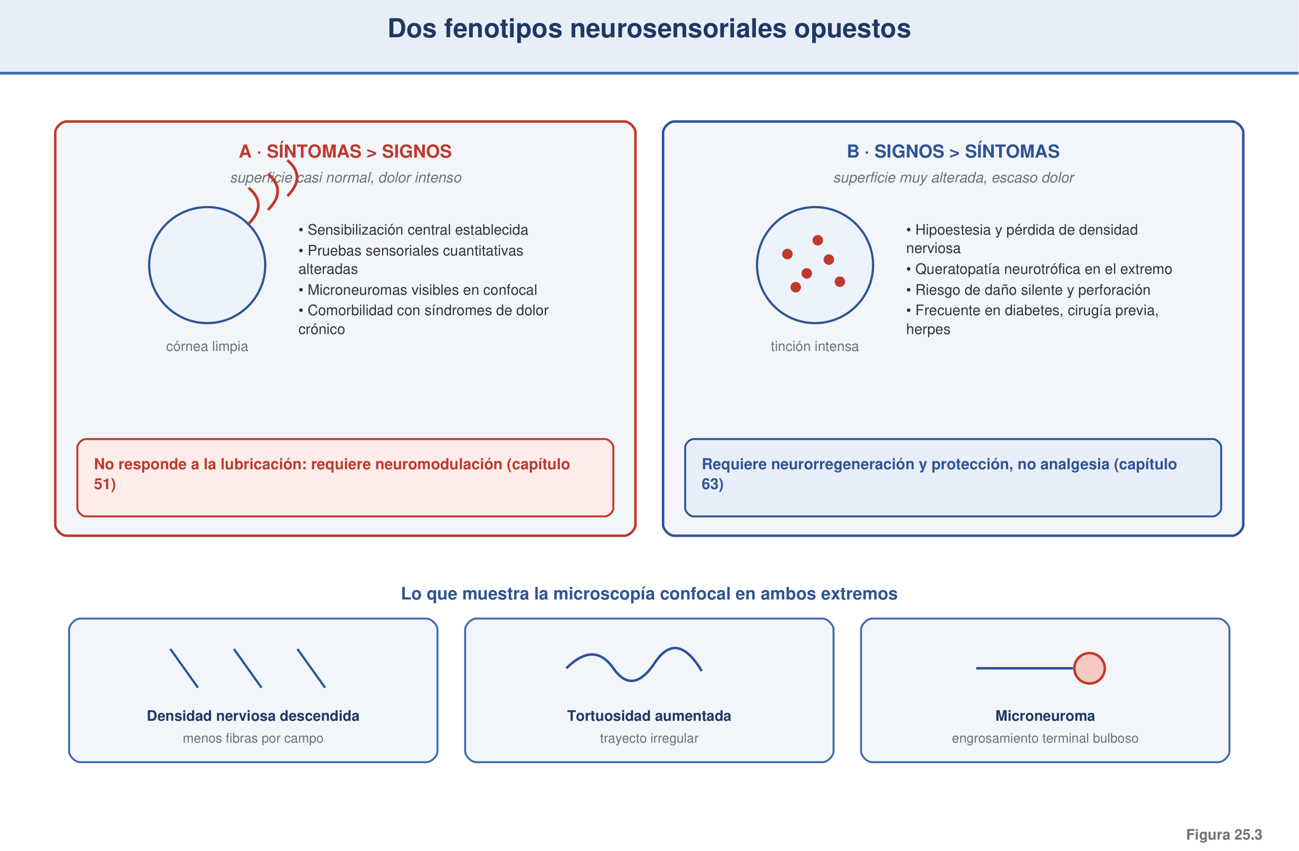 Figura 25.3 — Disociación signos-síntomas: dos fenotipos neurosensoriales