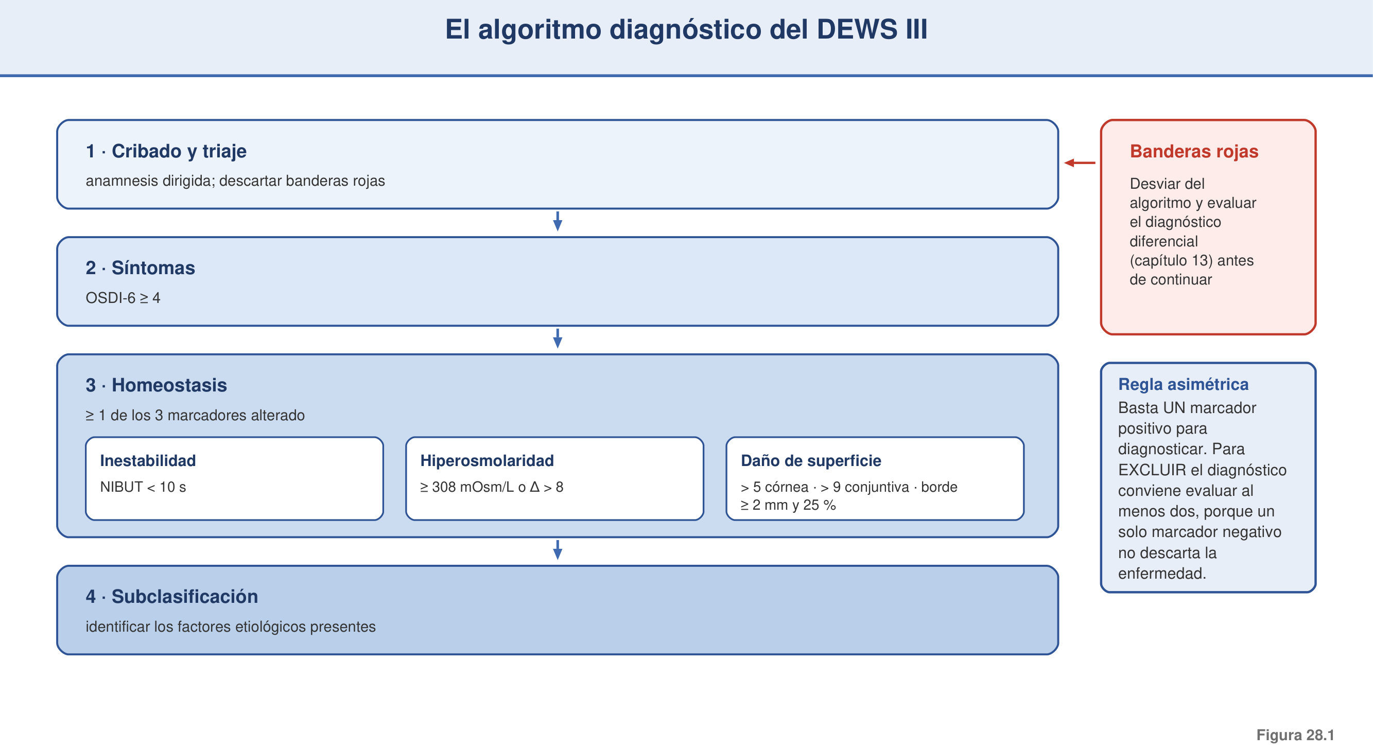 Figura 28.1 — El algoritmo diagnóstico DEWS III (obligatoria)