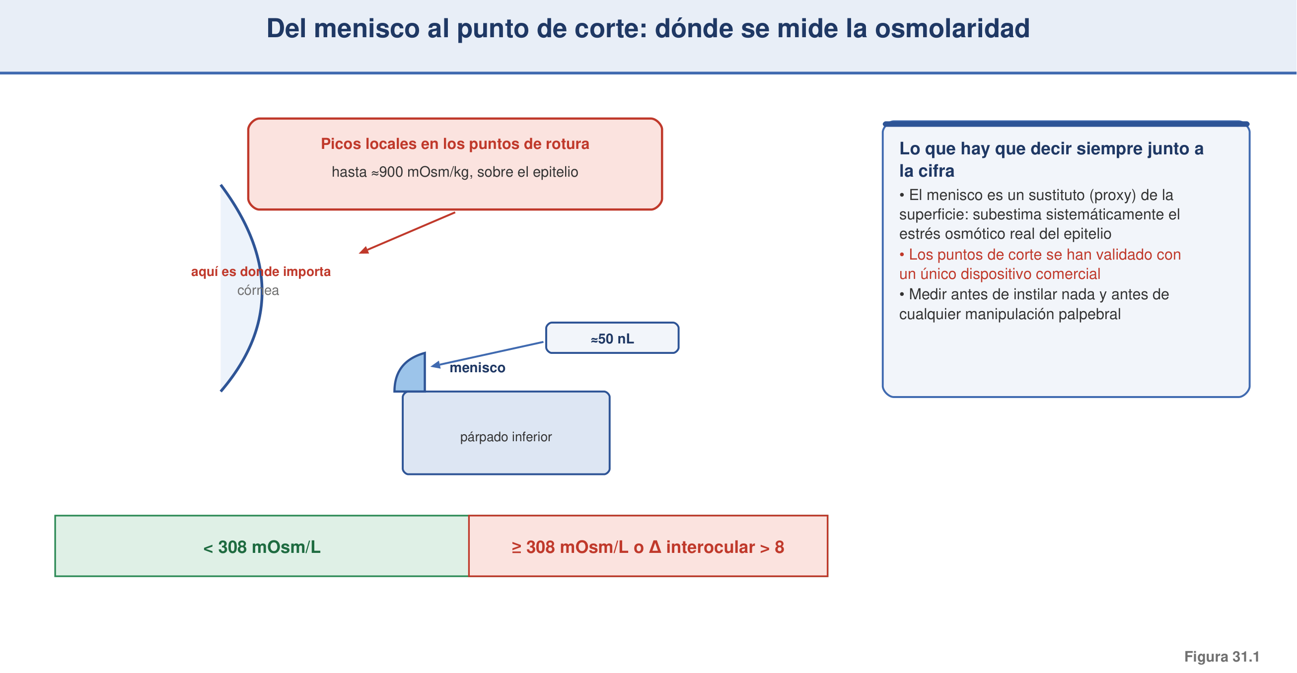 Figura 31.1 — Del menisco al corte diagnóstico: por qué y dónde se mide