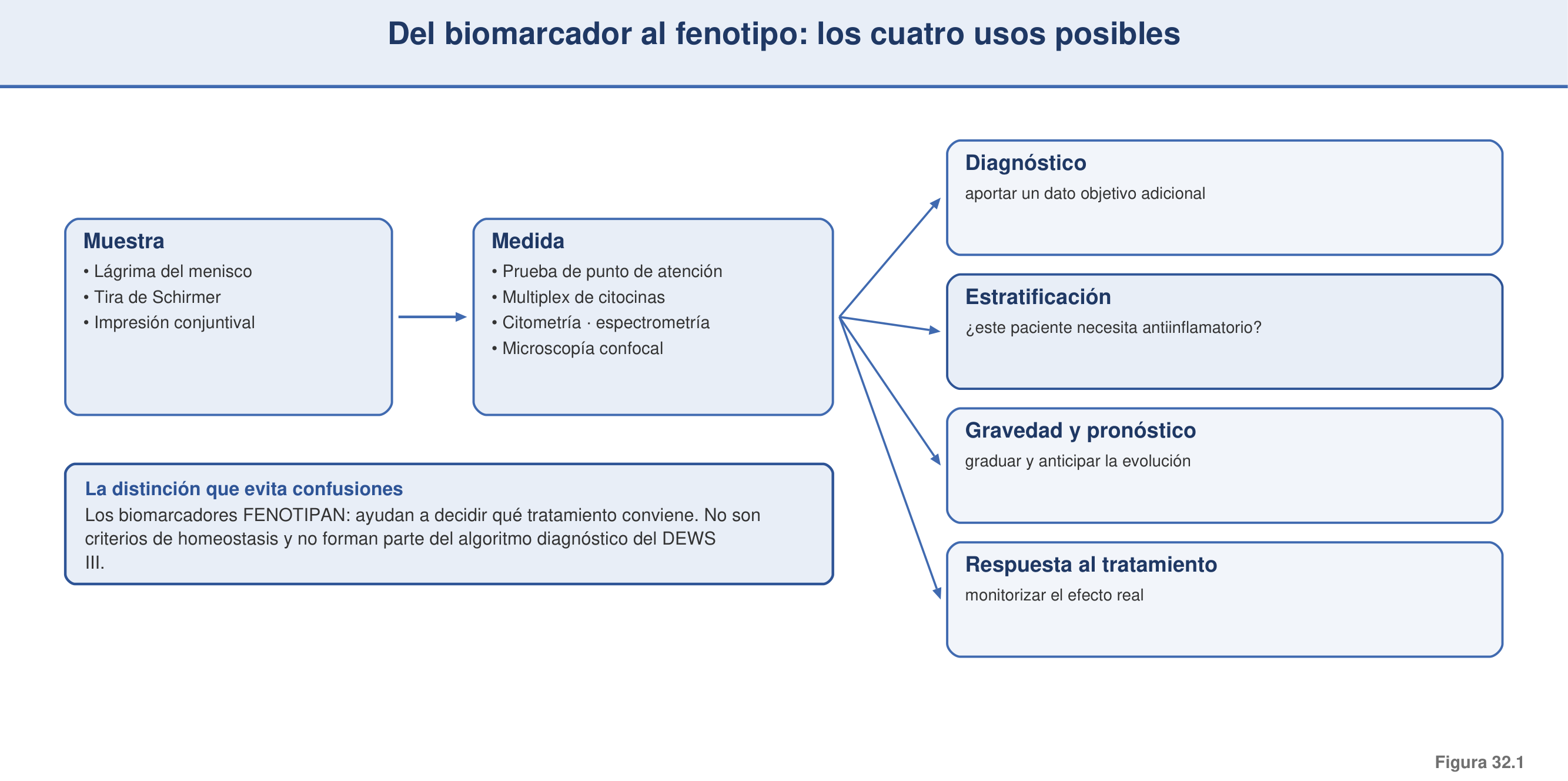 Figura 32.1 — Del biomarcador al fenotipo: los cuatro usos