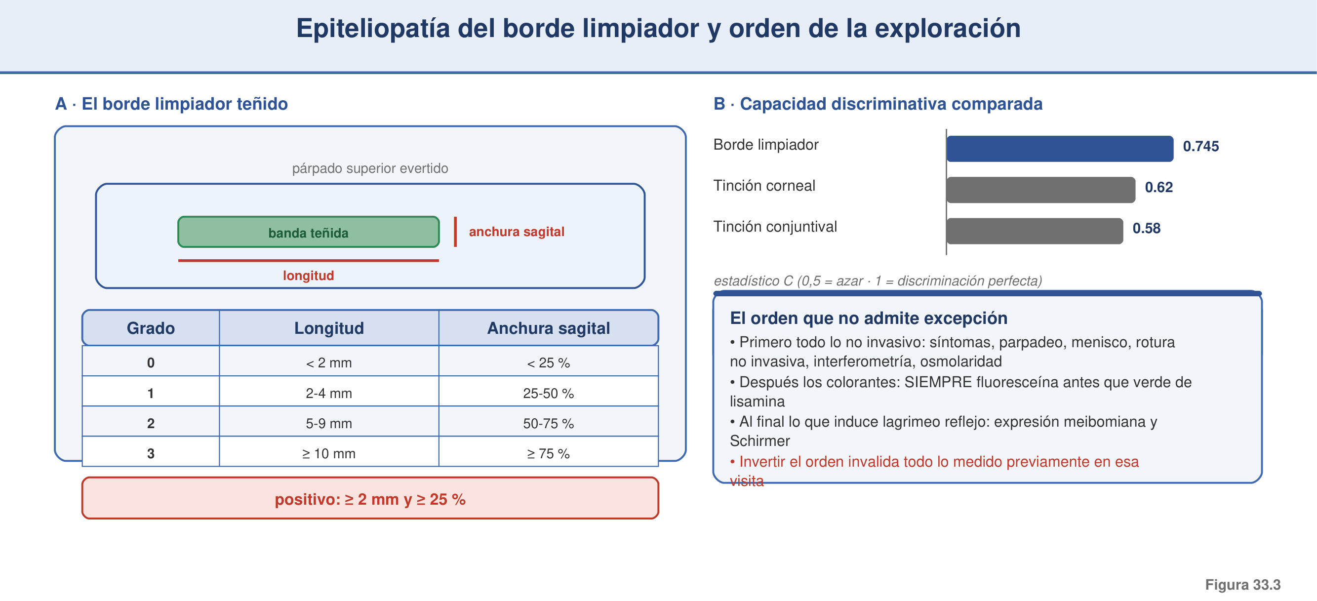 Figura 33.3 — Epiteliopatía del limpiaparpados y orden de la exploración