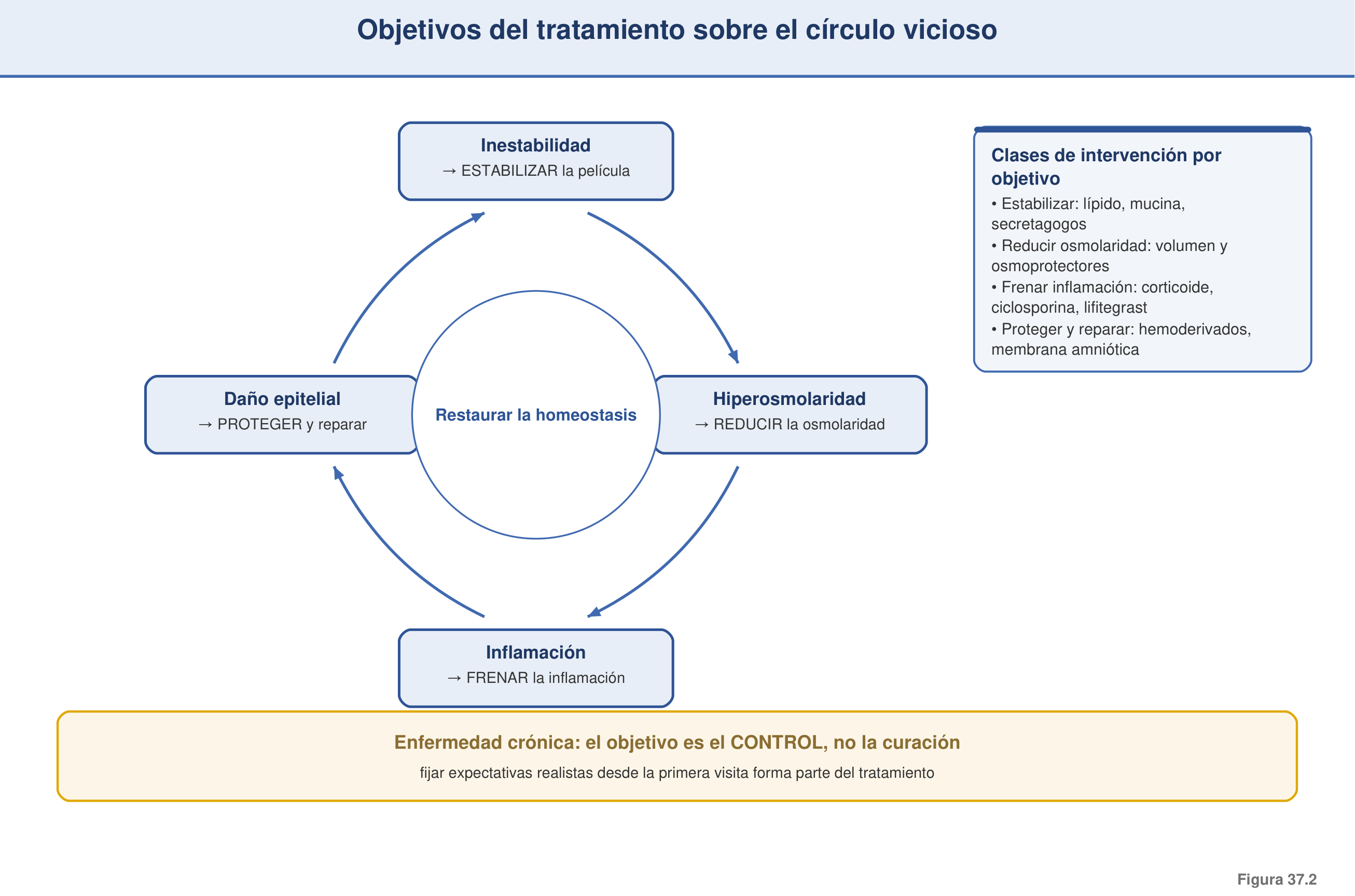 Figura 37.2 — Objetivos del tratamiento y ruptura del círculo vicioso