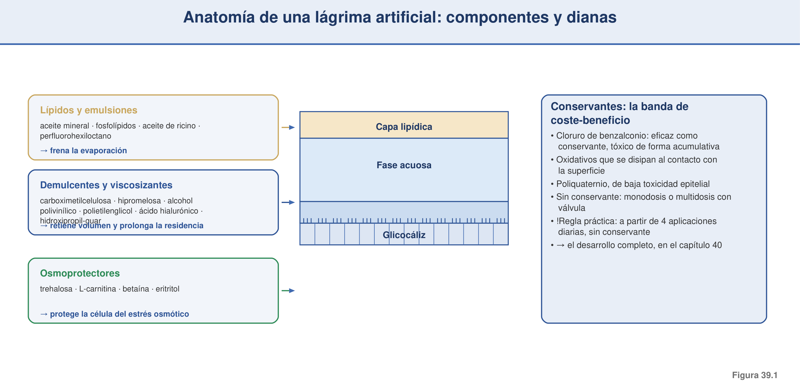 Figura 39.1 — Anatomía de una lágrima artificial: componentes y su función