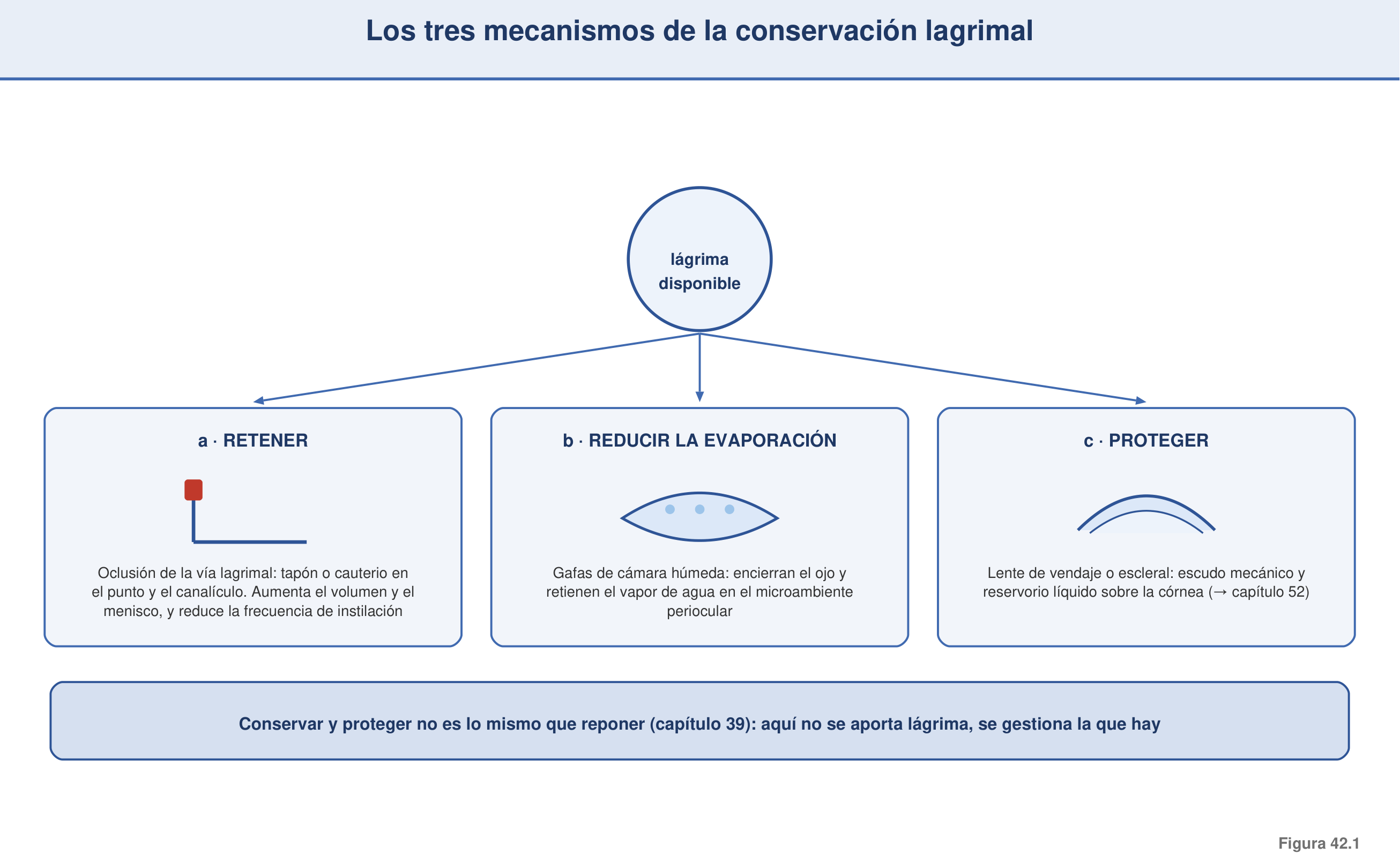 Figura 42.1 — Los tres mecanismos de la conservación lagrimal