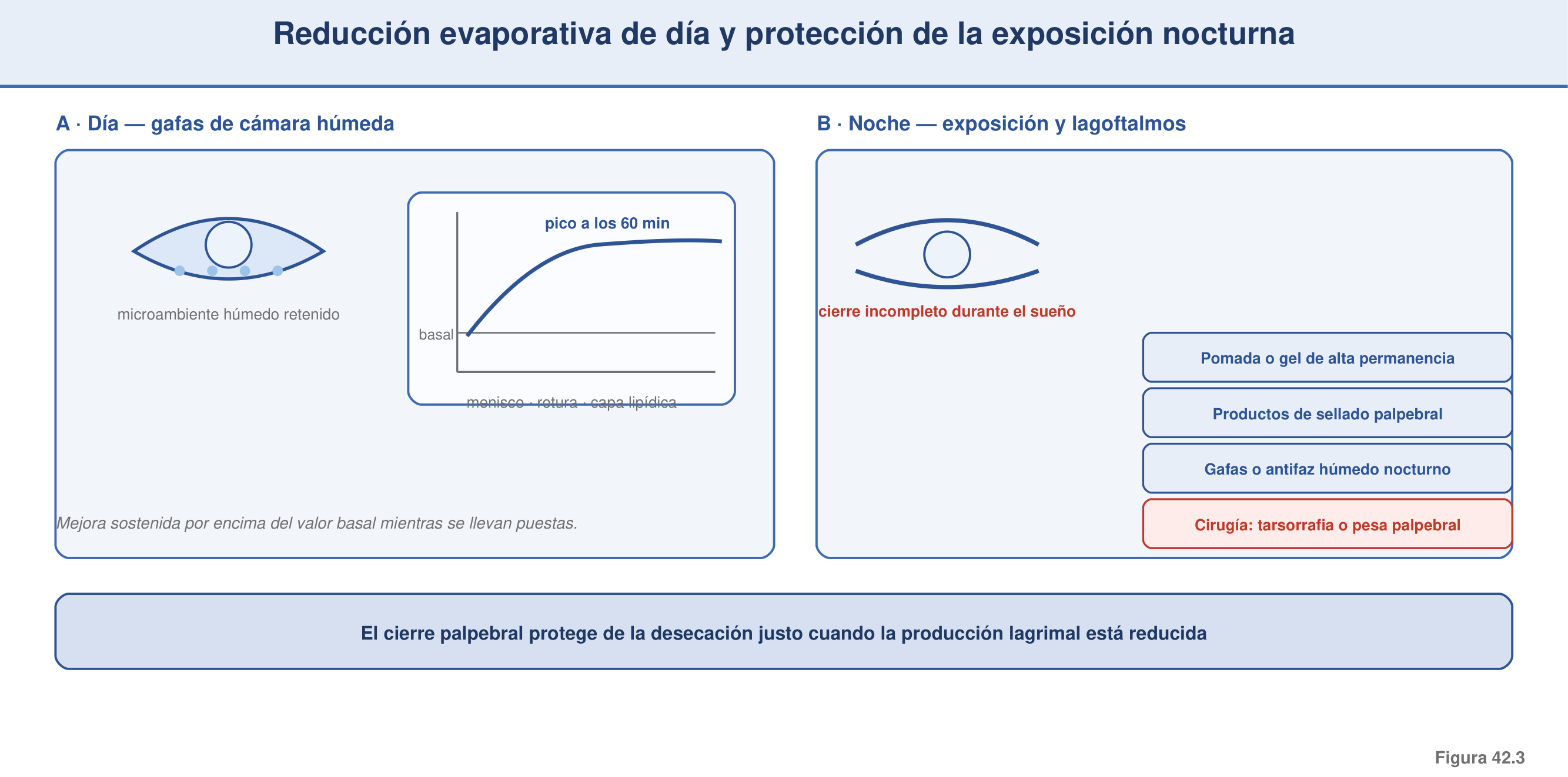 Figura 42.3 — Conservación por reducción evaporativa y exposición nocturna