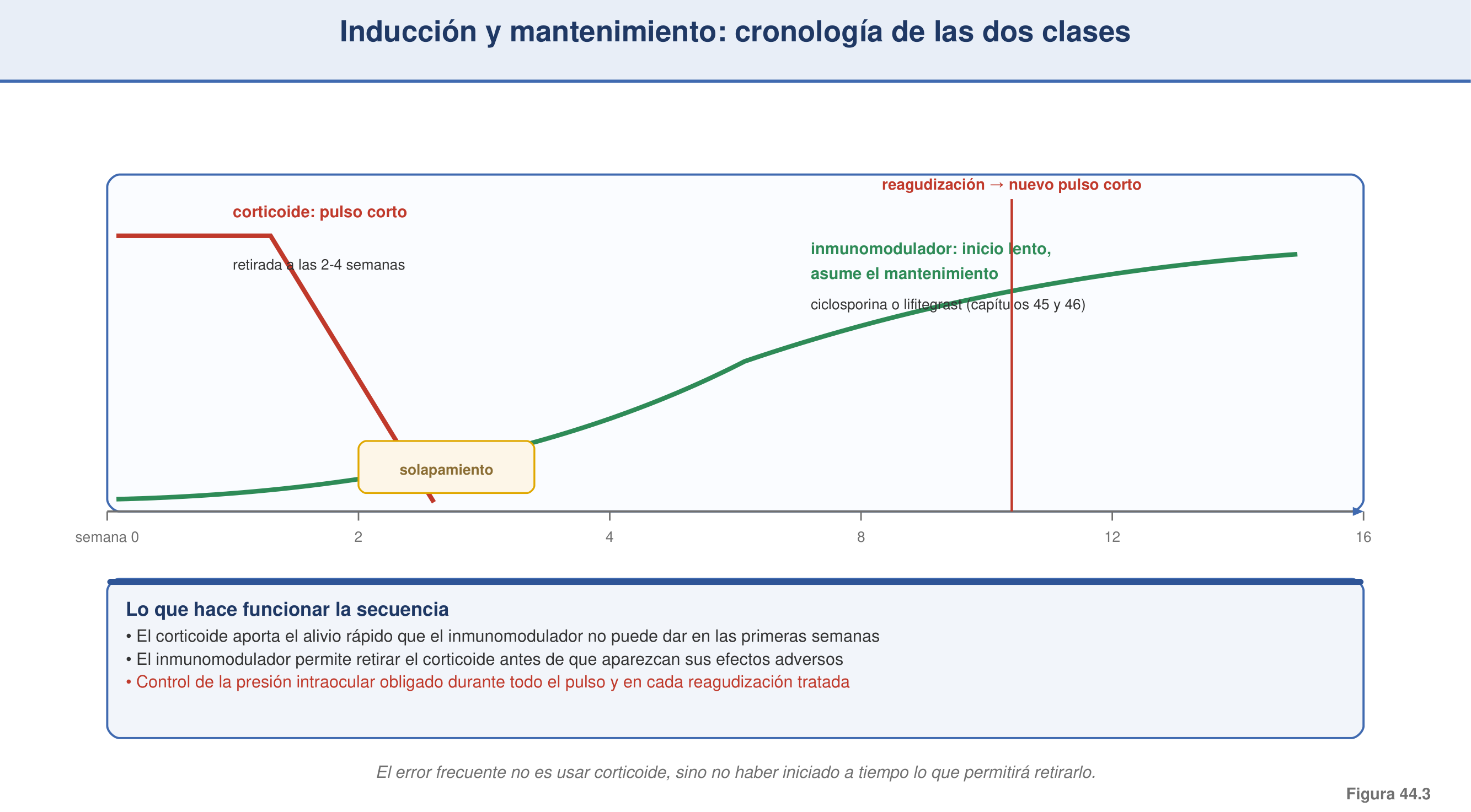 Figura 44.3 — Inducción → mantenimiento: cronología del corticoide y el inmunomodulador