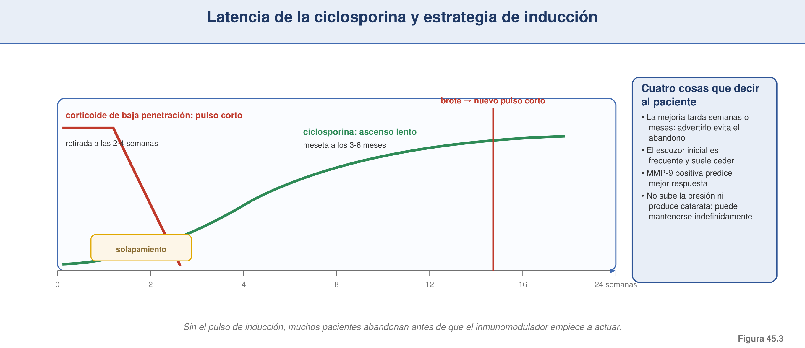 Figura 45.3 — Curva de latencia y estrategia inducción → mantenimiento