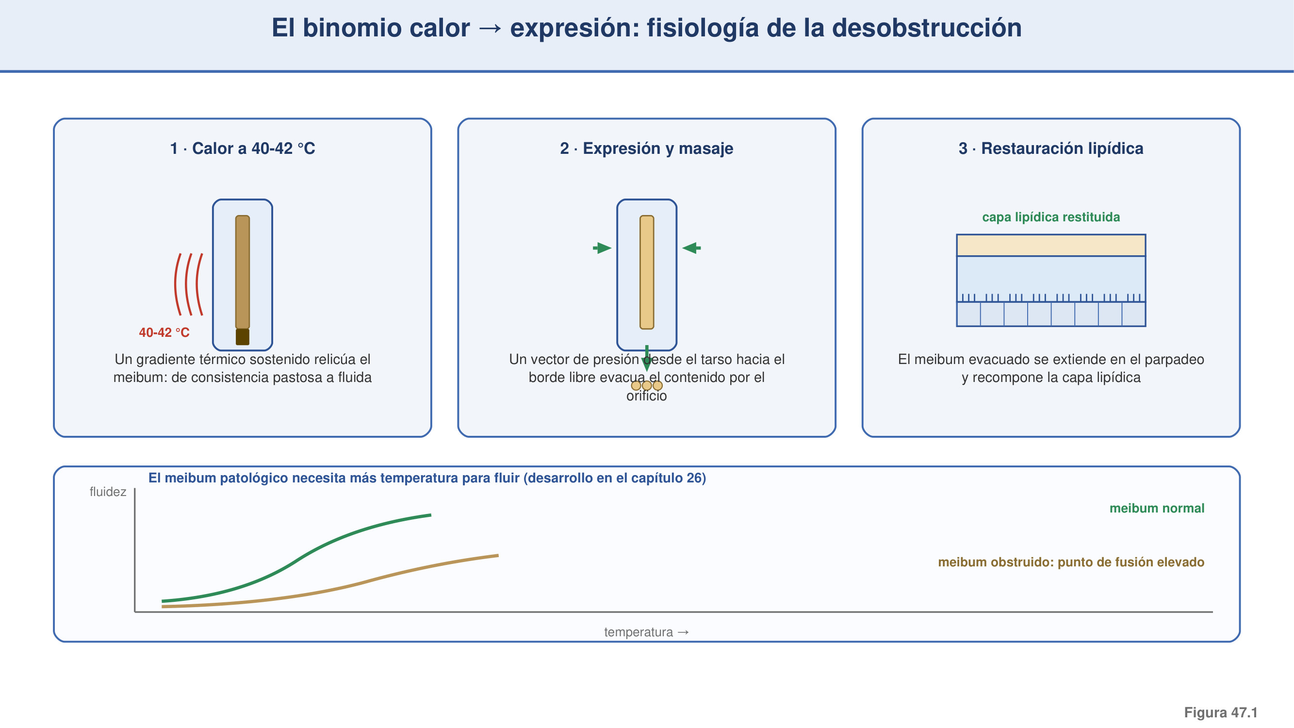 Figura 47.1 — El binomio calor → expresión: fisiología de la desobstrucción