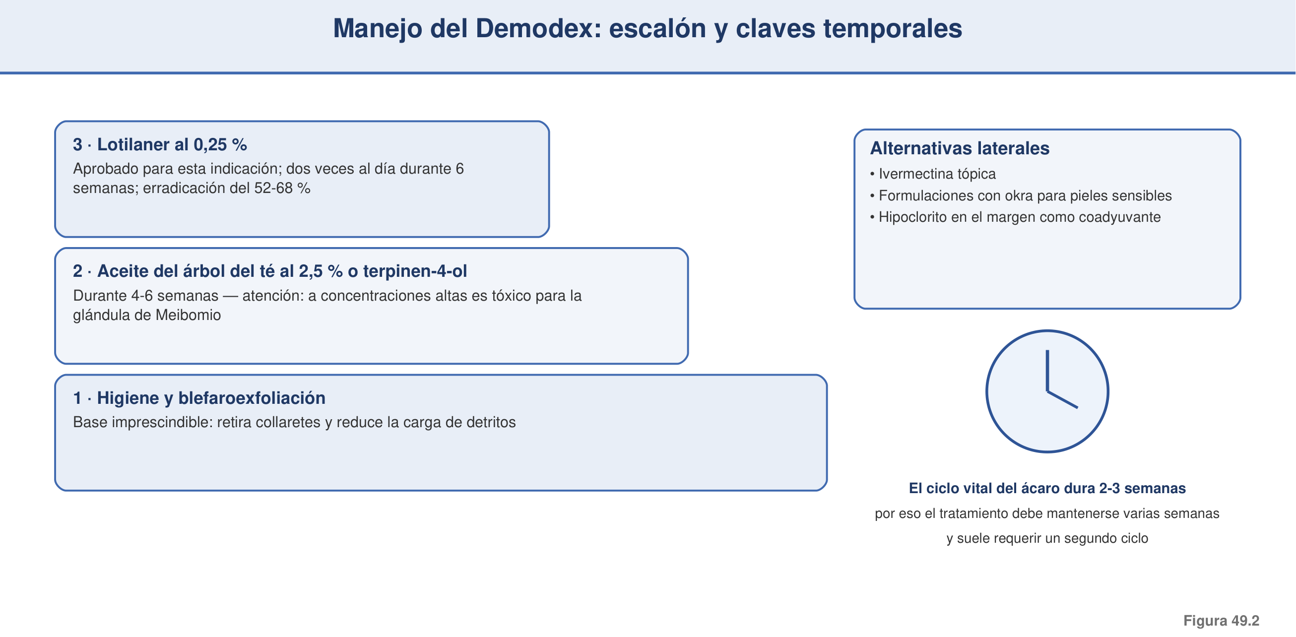 Figura 49.2 — Manejo del Demodex: escalón e ítems clave