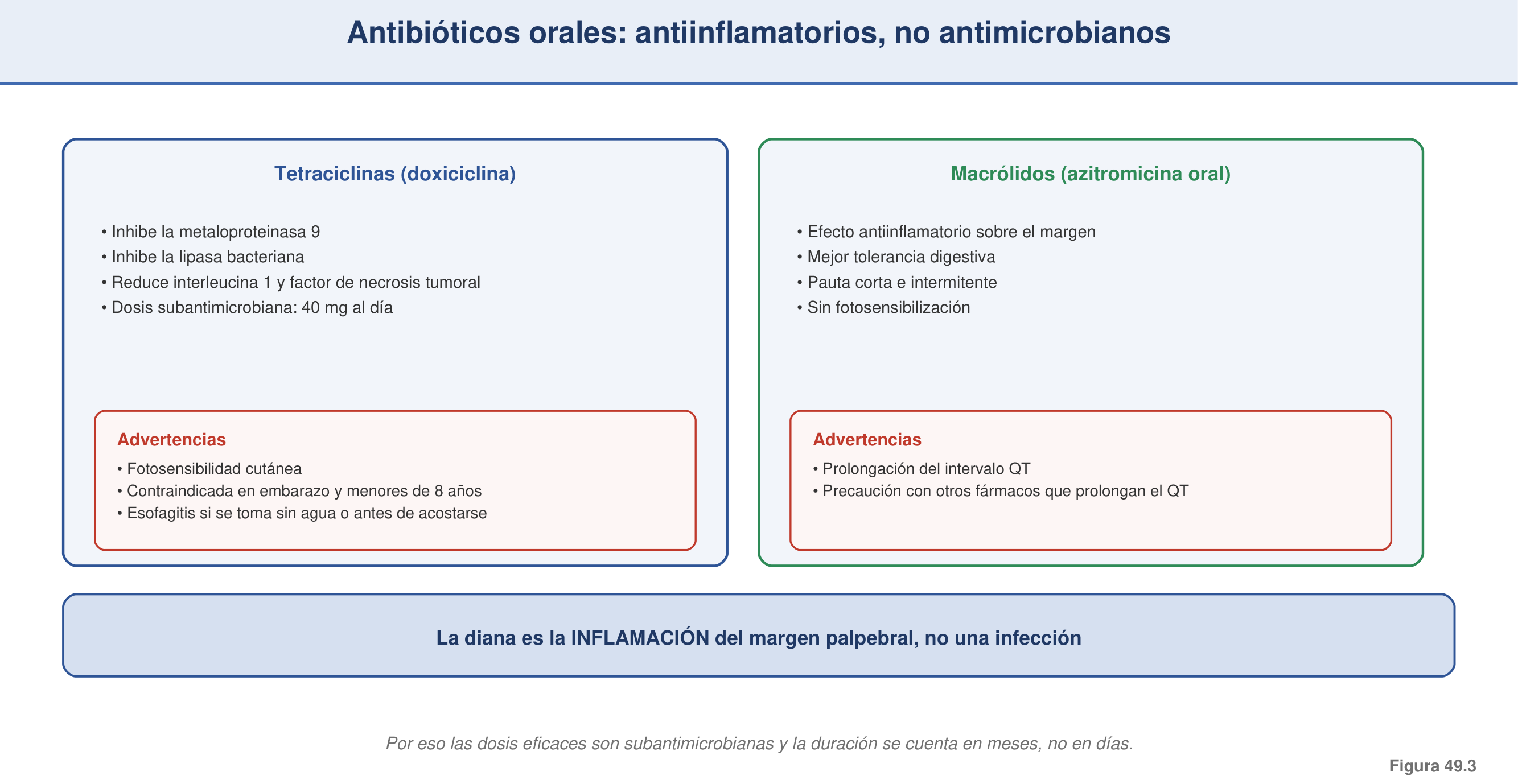 Figura 49.3 — Antibióticos orales en el ojo seco: antiinflamatorios, no antimicrobianos