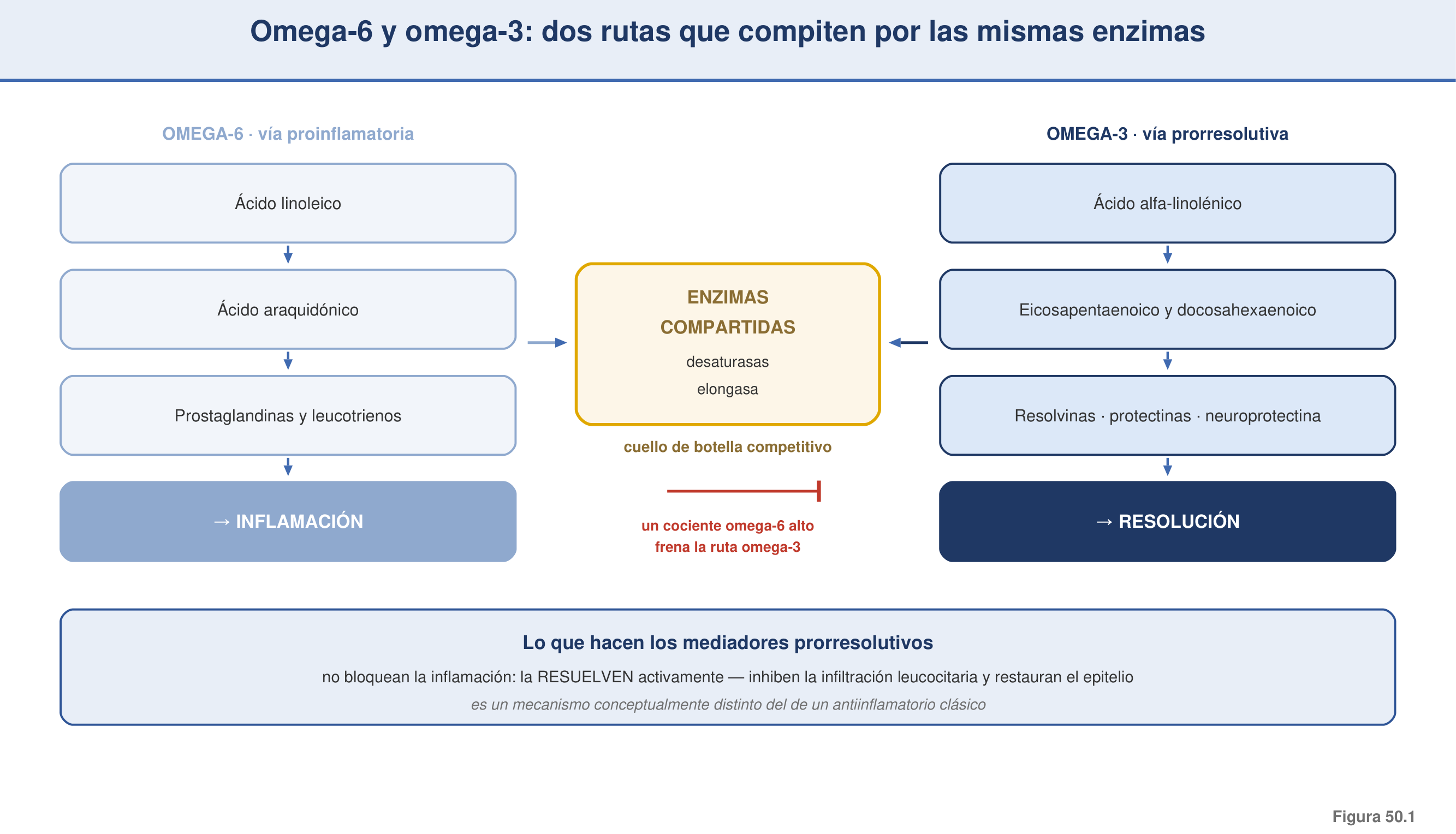 Figura 50.1 — Vías metabólicas omega-6 frente a omega-3 y mediadores prorresolutivos