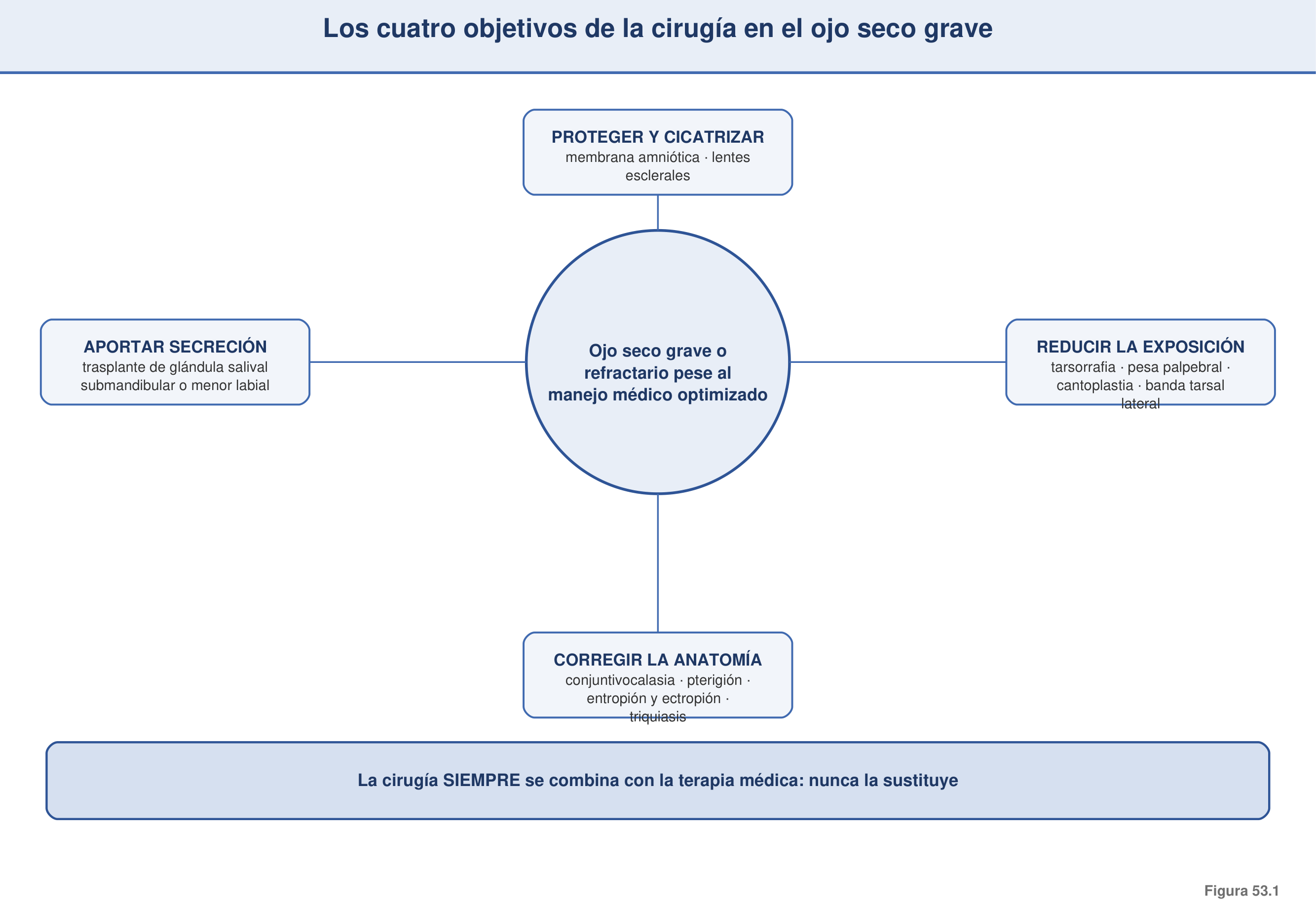 Figura 53.1 — Los cuatro objetivos de la cirugía en el ojo seco grave