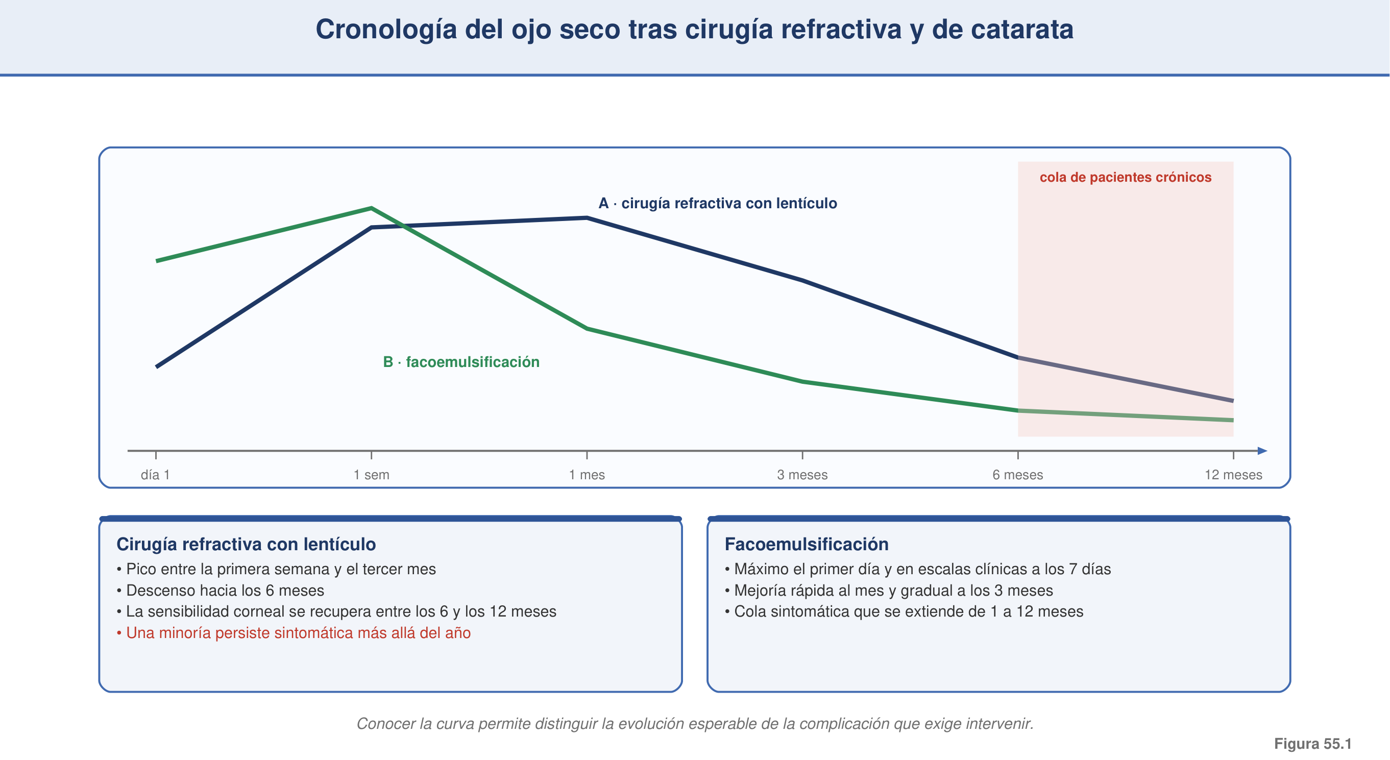 Figura 55.1 — Cronología del ojo seco tras cirugía refractiva y de catarata