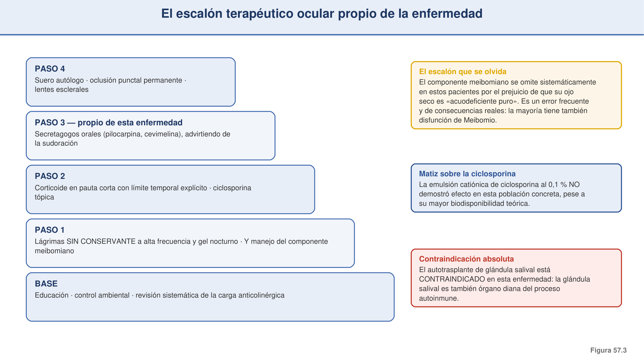 Figura 57.3 — El escalón terapéutico ocular propio de la enfermedad