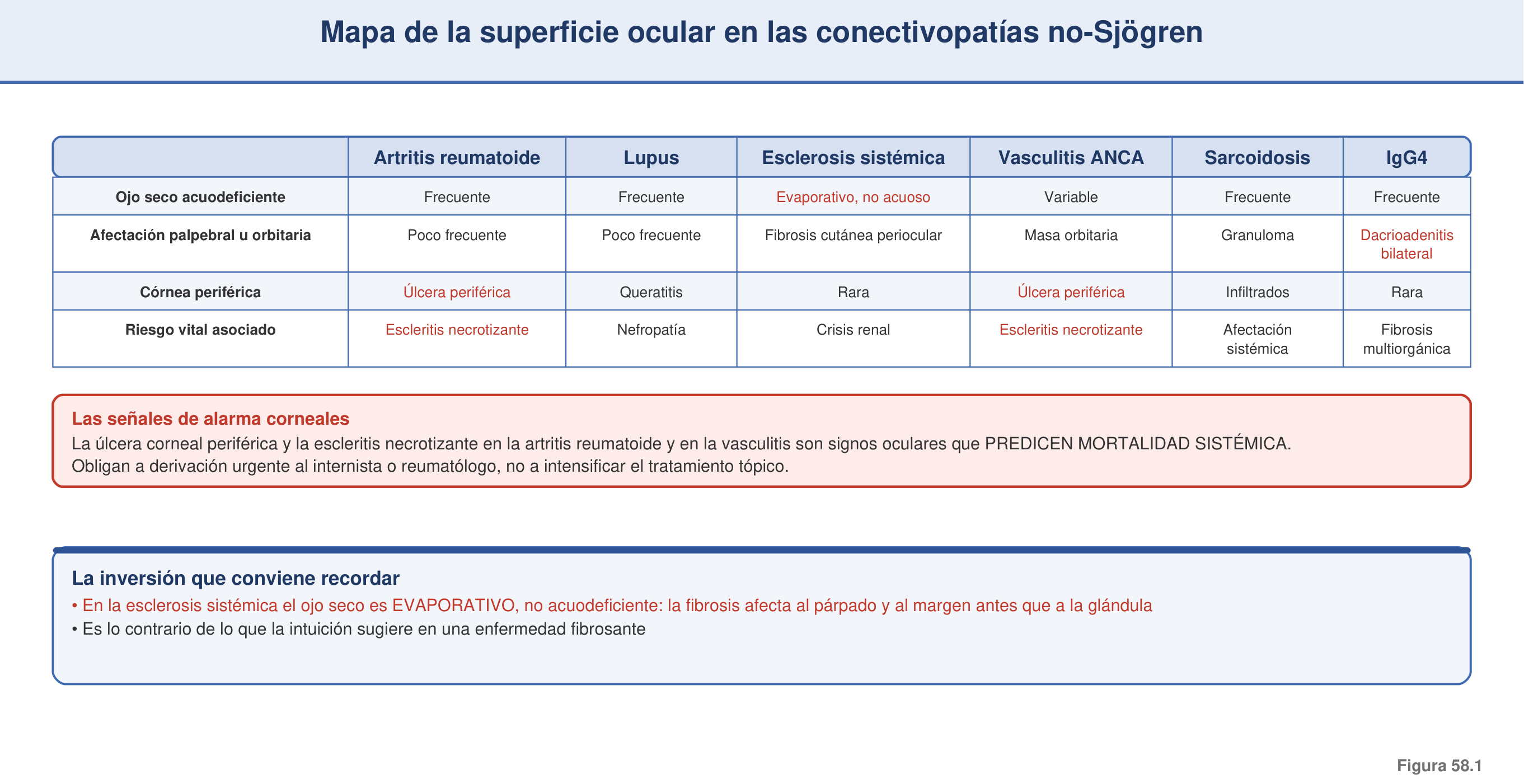 Figura 58.1 — Mapa de la superficie ocular en las conectivopatías no-Sjögren