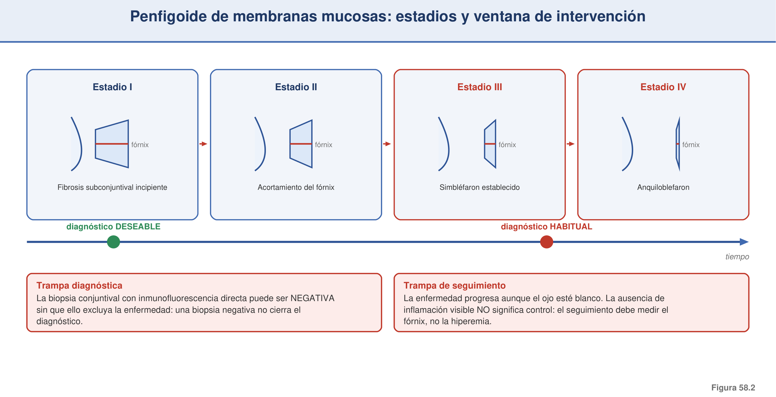 Figura 58.2 — Penfigoide de membranas mucosas: estadios y ventana de intervención