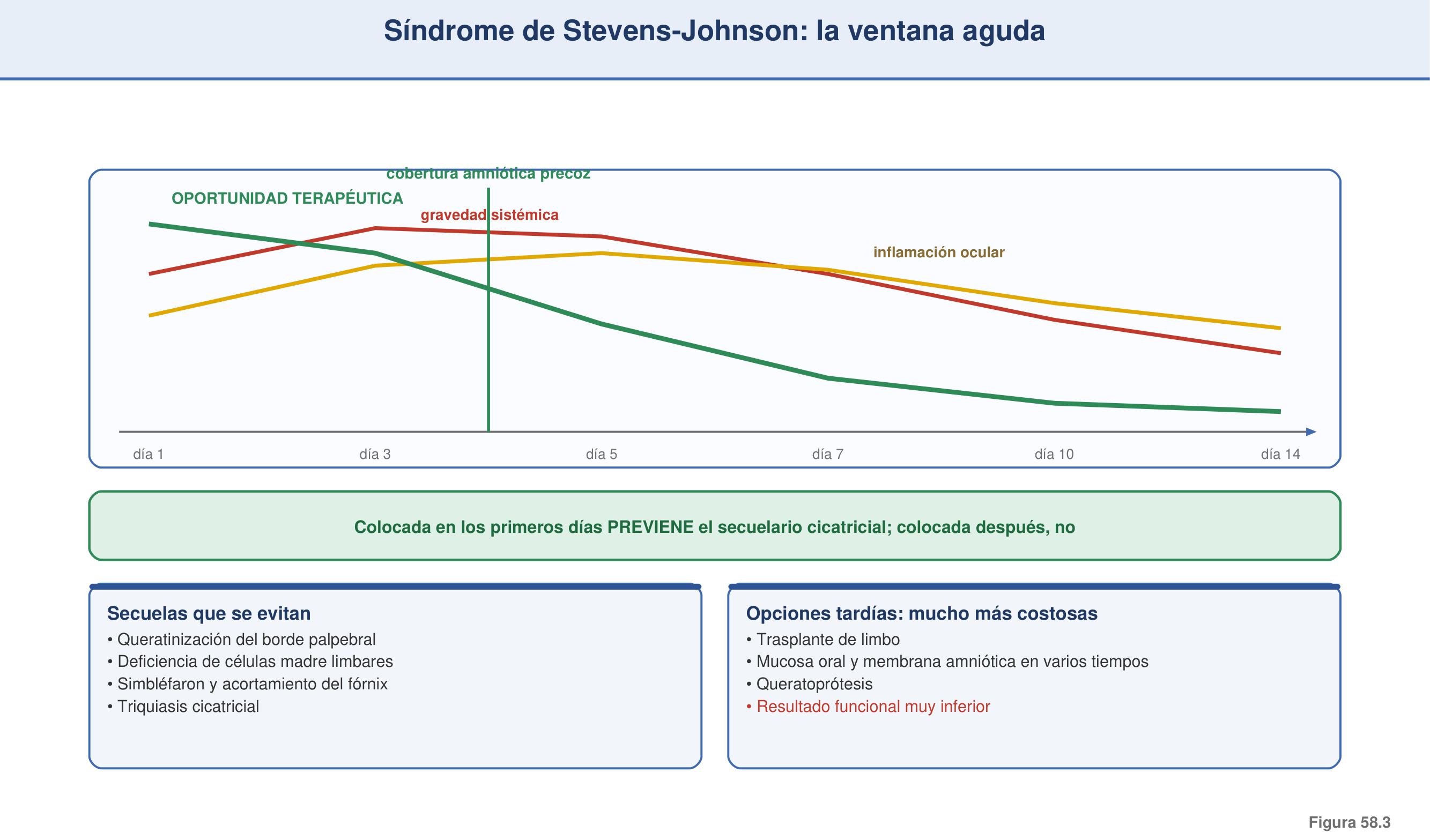 Figura 58.3 — Síndrome de Stevens-Johnson: la ventana aguda
