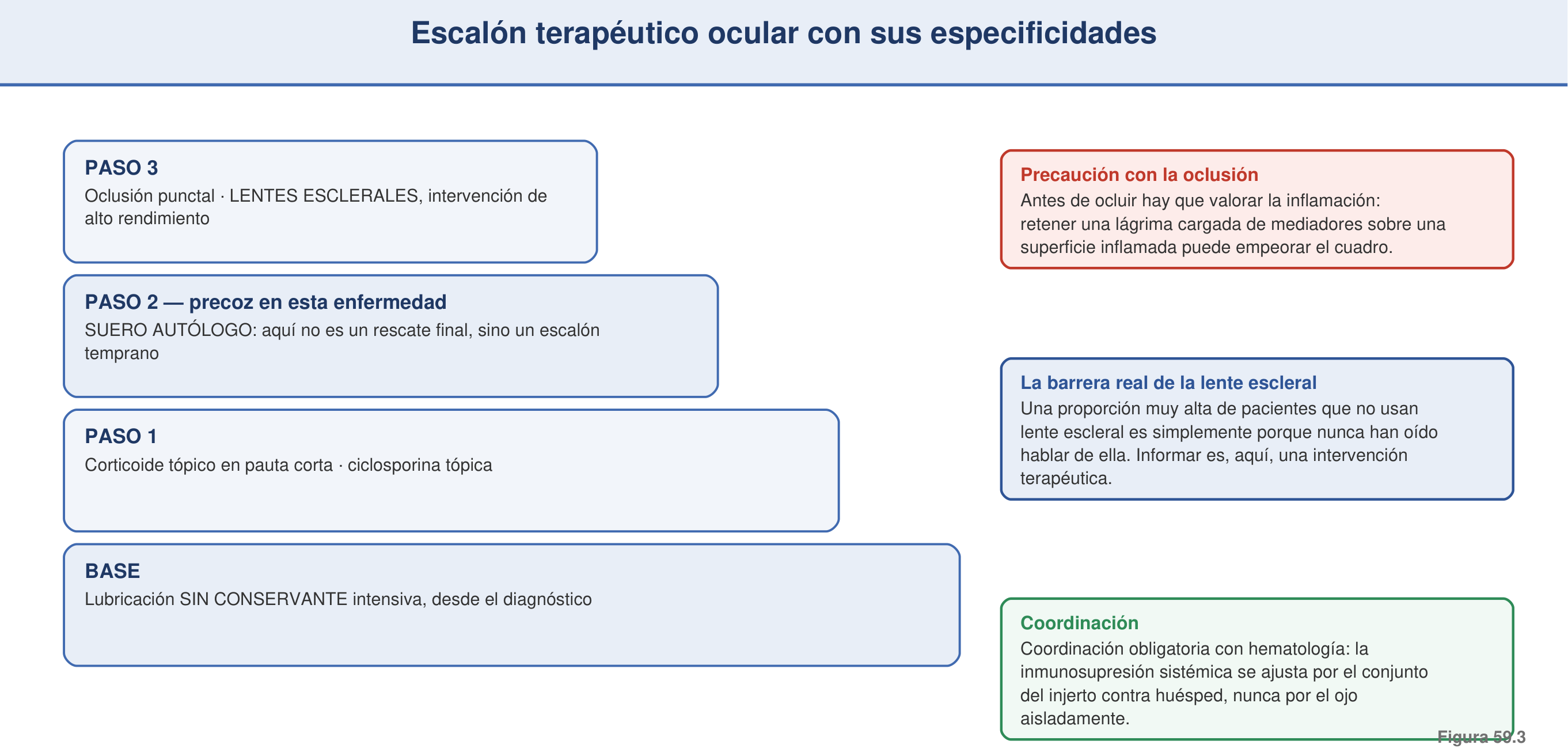 Figura 59.3 — Escalón terapéutico ocular con sus especificidades